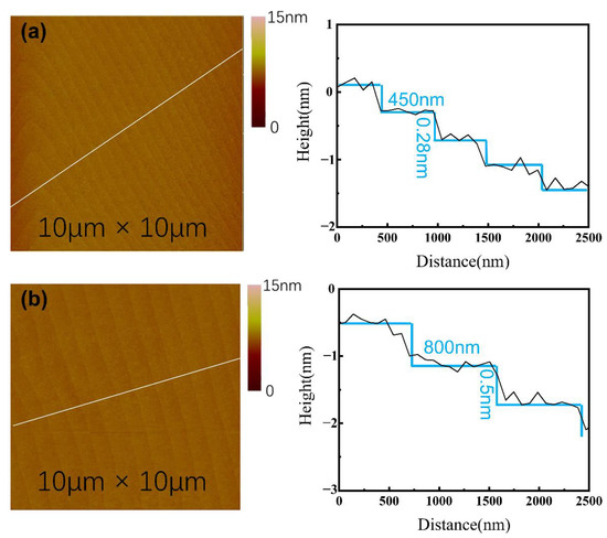 Investigation on Step-Bunched Homoepitaxial Layers Grown on