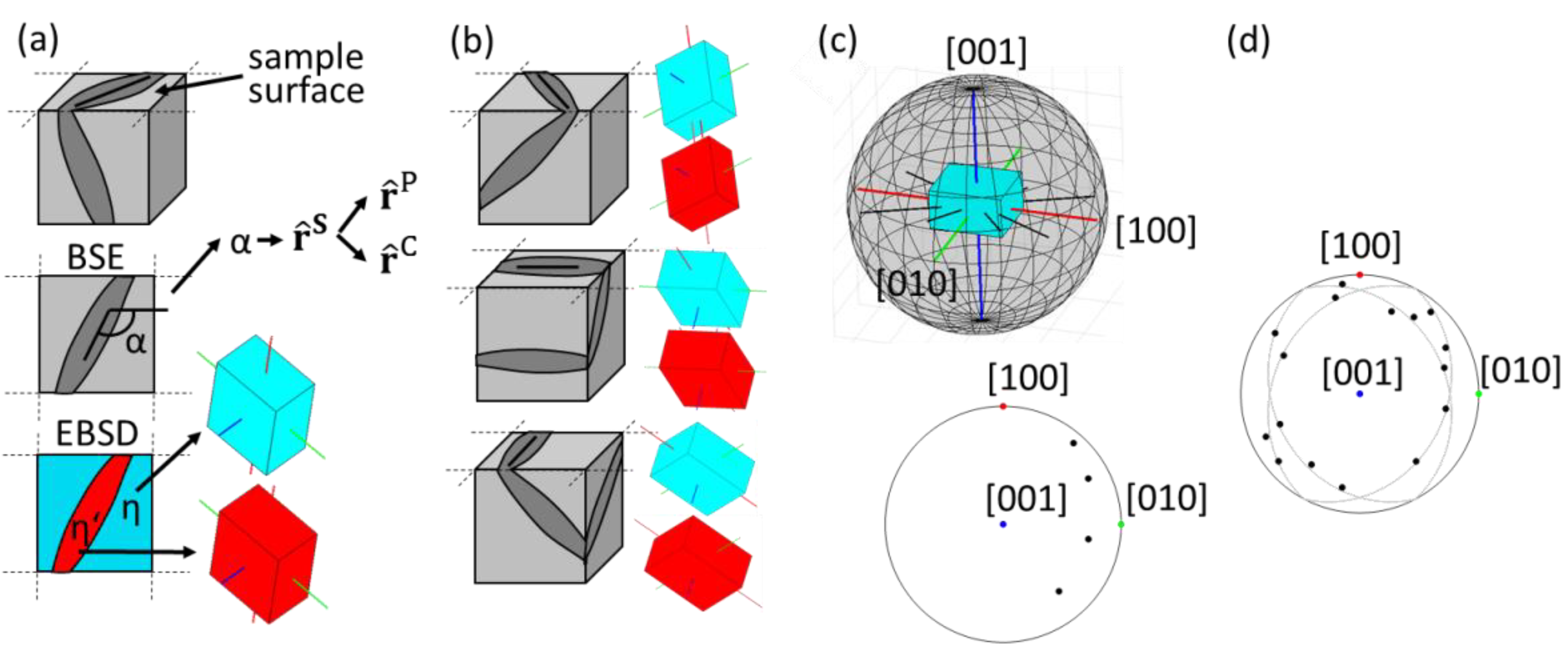 Crystals 12 00813 g006