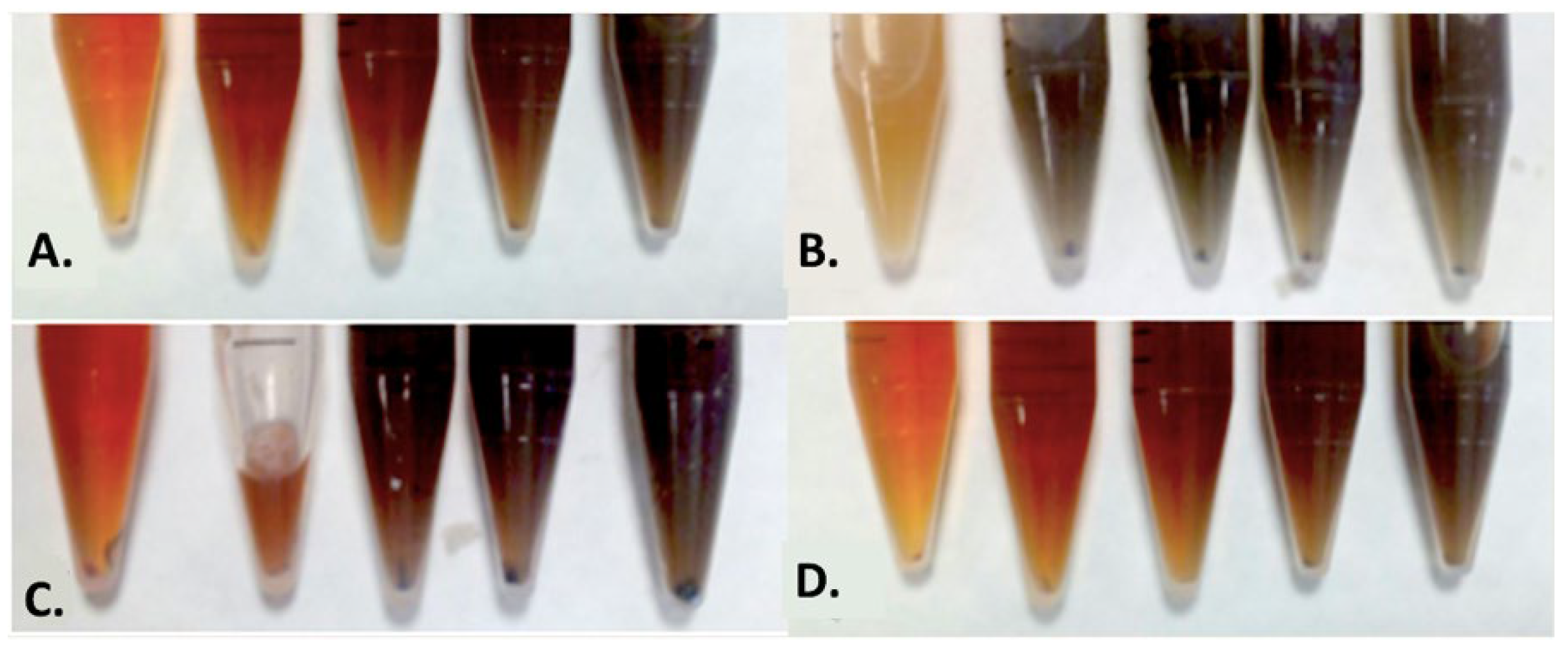 Crystals 12 00814 g001 550