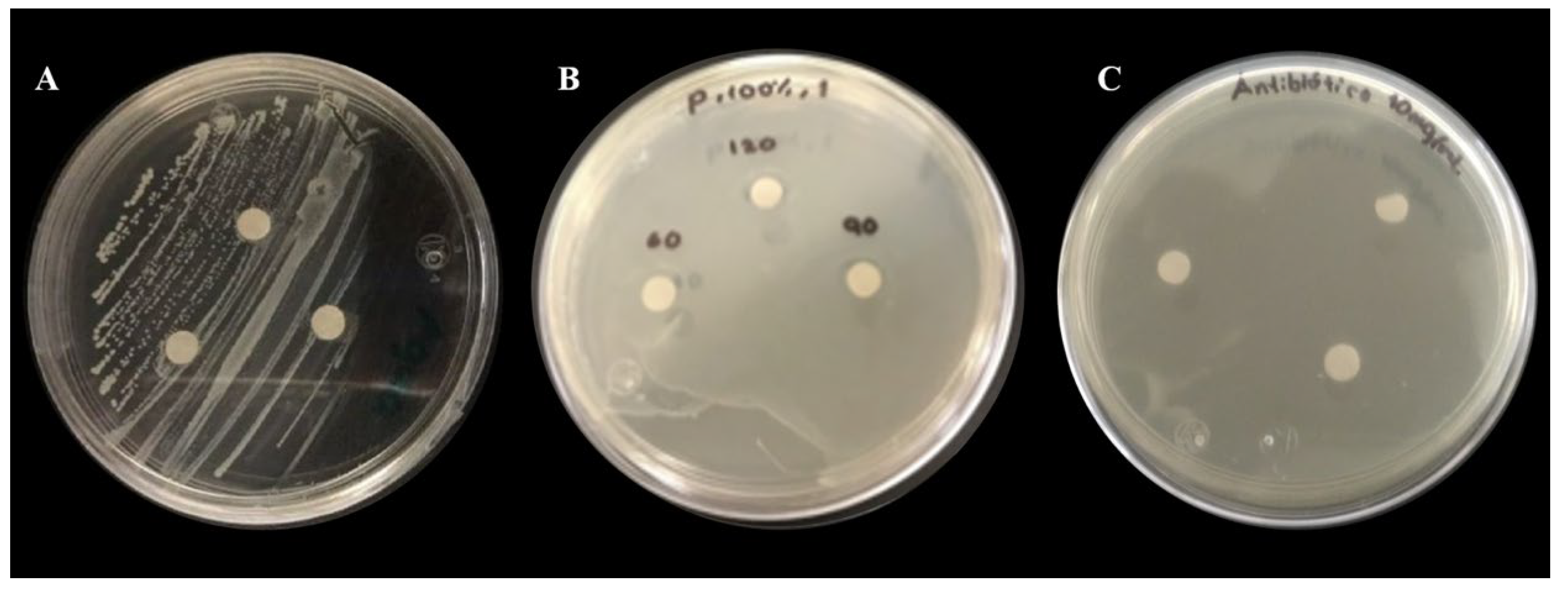 Crystals 12 00814 g008 550