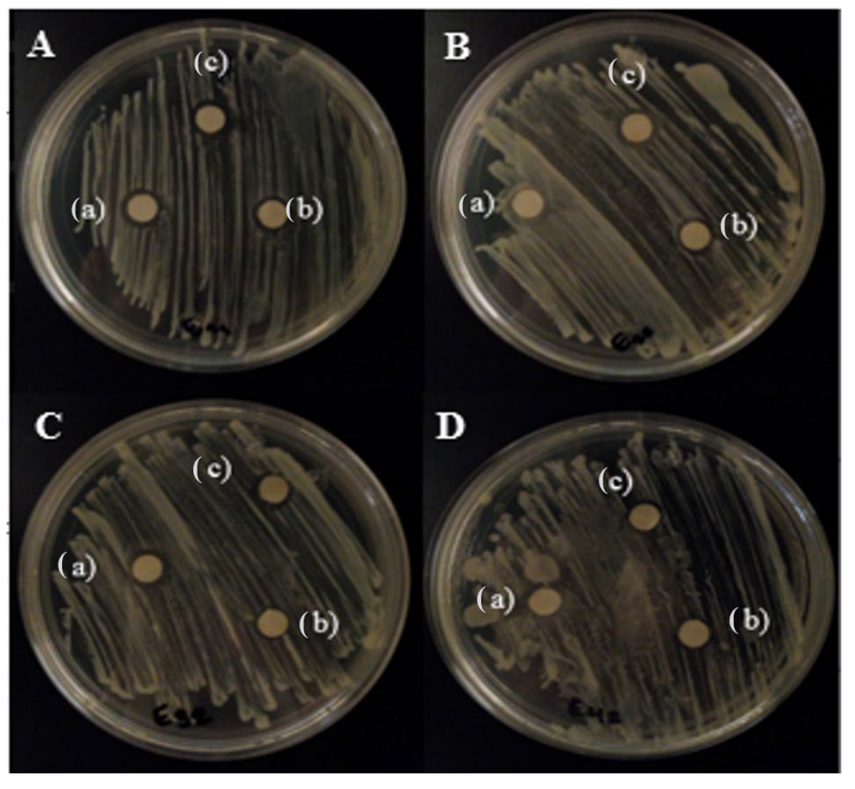 Crystals 12 00814 g009 550