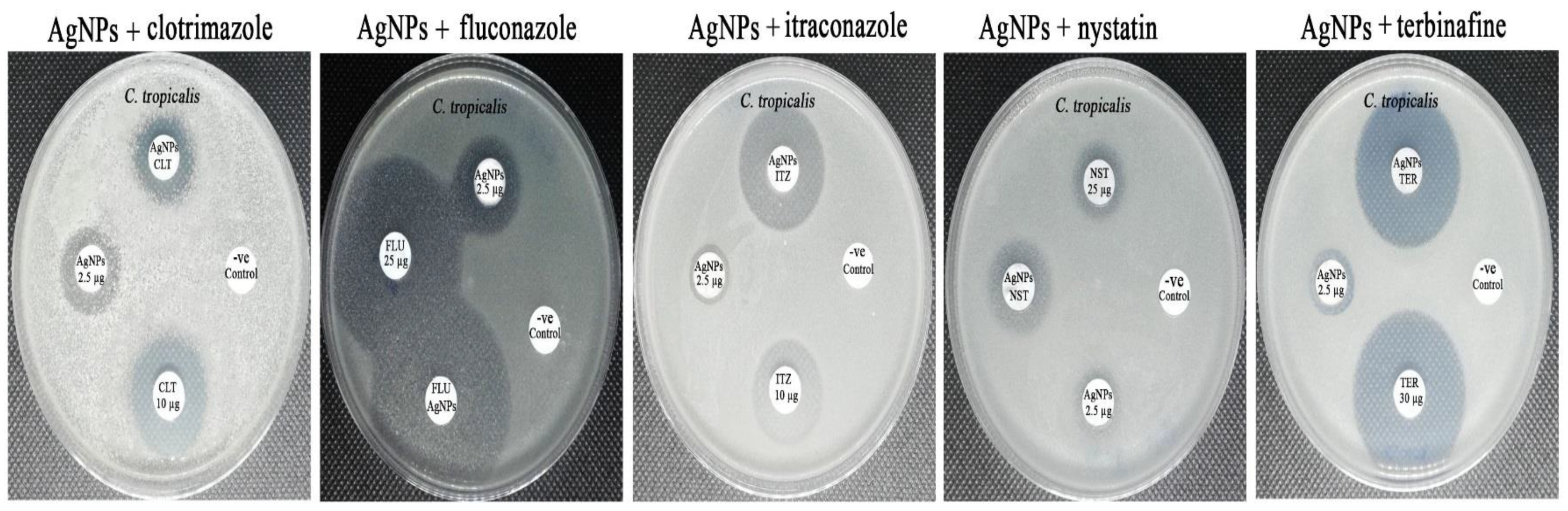 Crystals 12 00816 g011