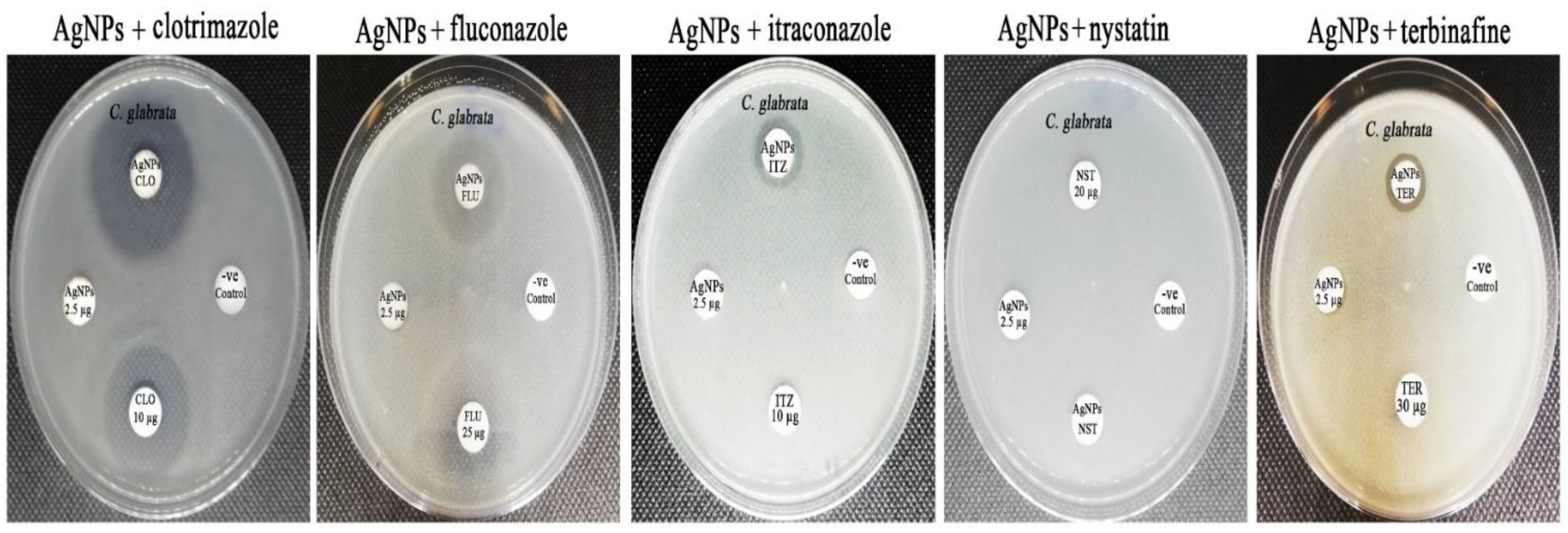 Crystals 12 00816 g012