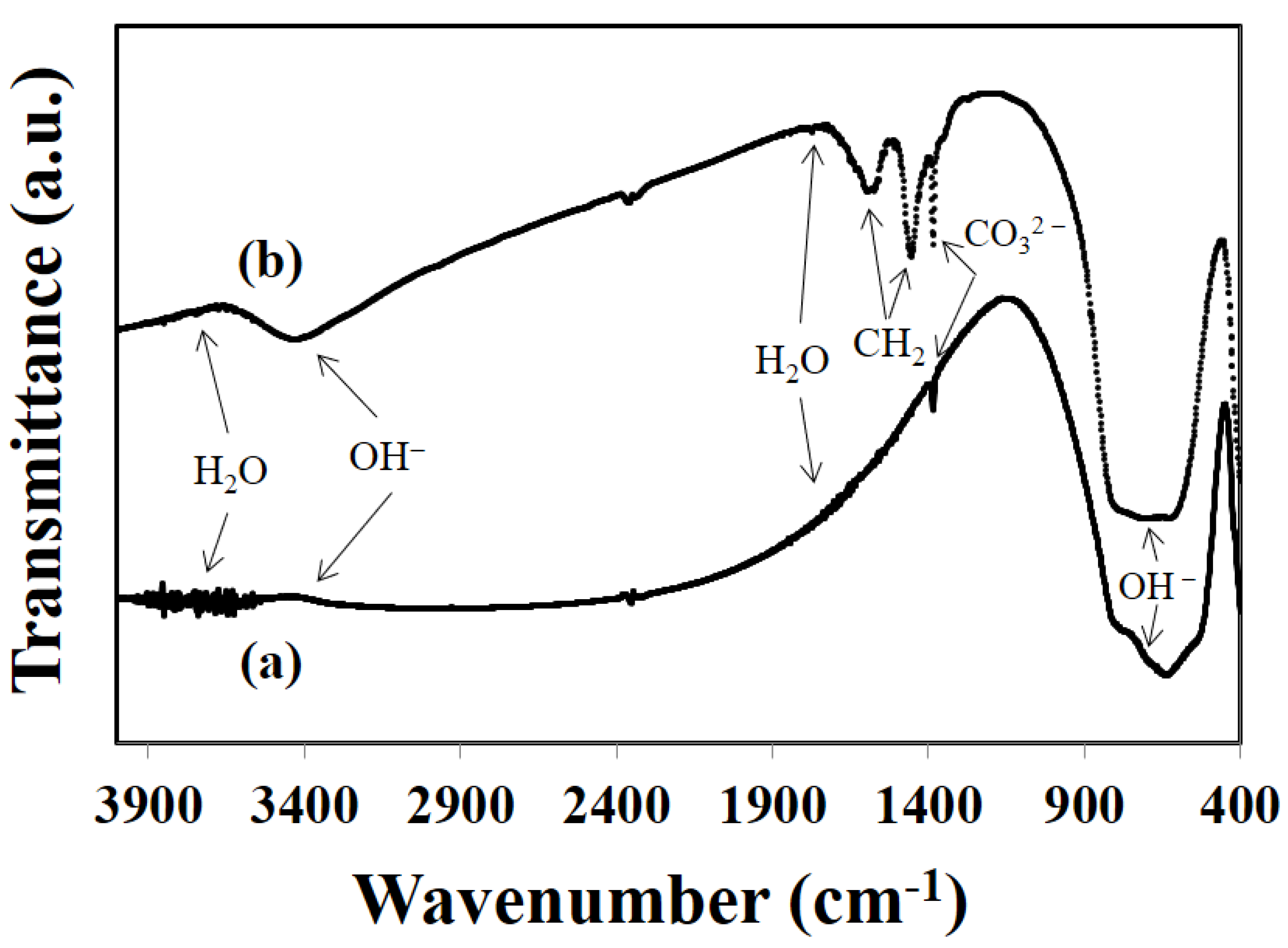 RE ARRIVAL/再入荷 Synthesis Glycothermal Facile of Particles KxNa(1−x)NbO3 その他