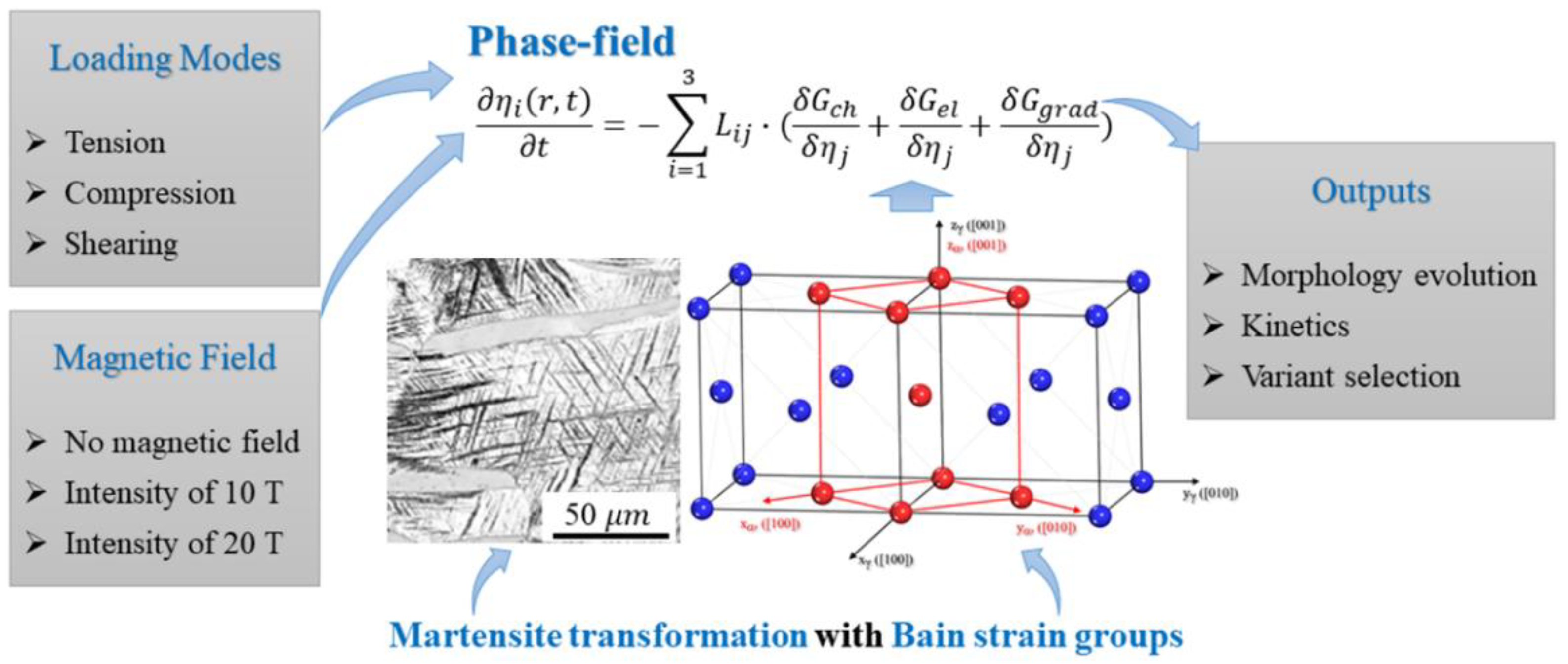 Computational Simulation by Phase Field: Martensite Transformation 