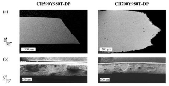 Effects of Microstructural Properties on Damage Evolution and Edge ...