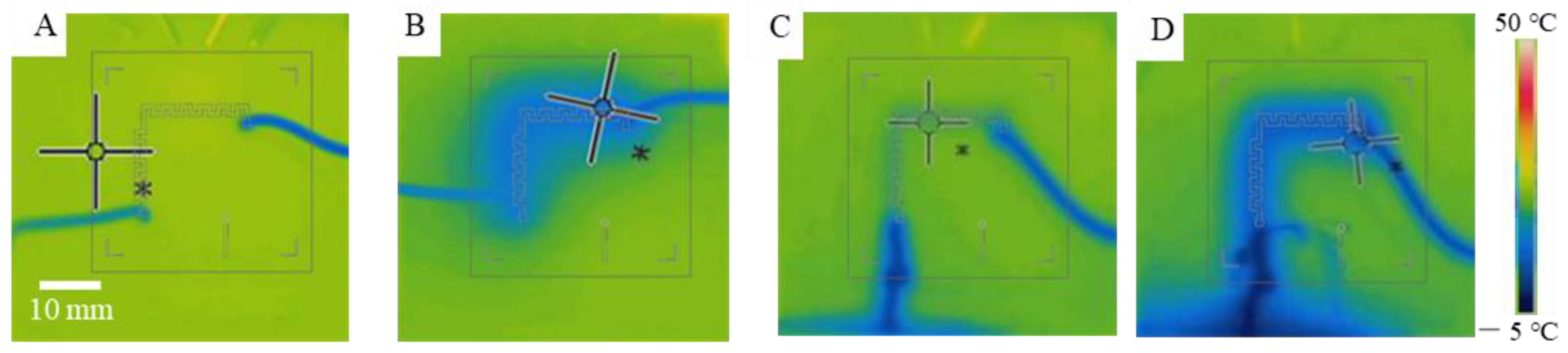 Crystals 12 00856 g008