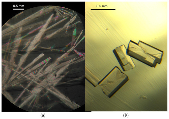 Behavior of B- and Z-DNA Crystals under High Hydrostatic