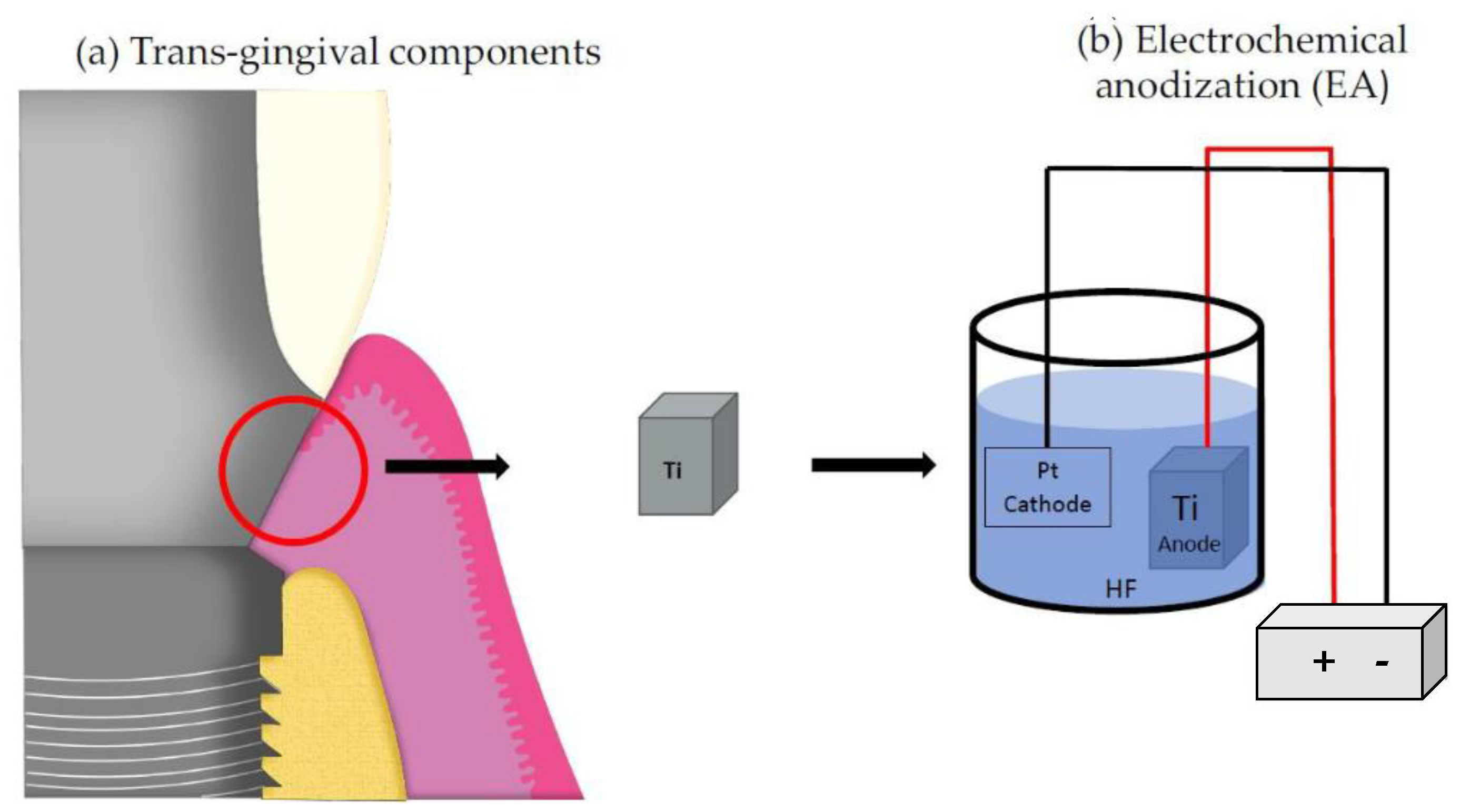 Crystals 12 00893 g001