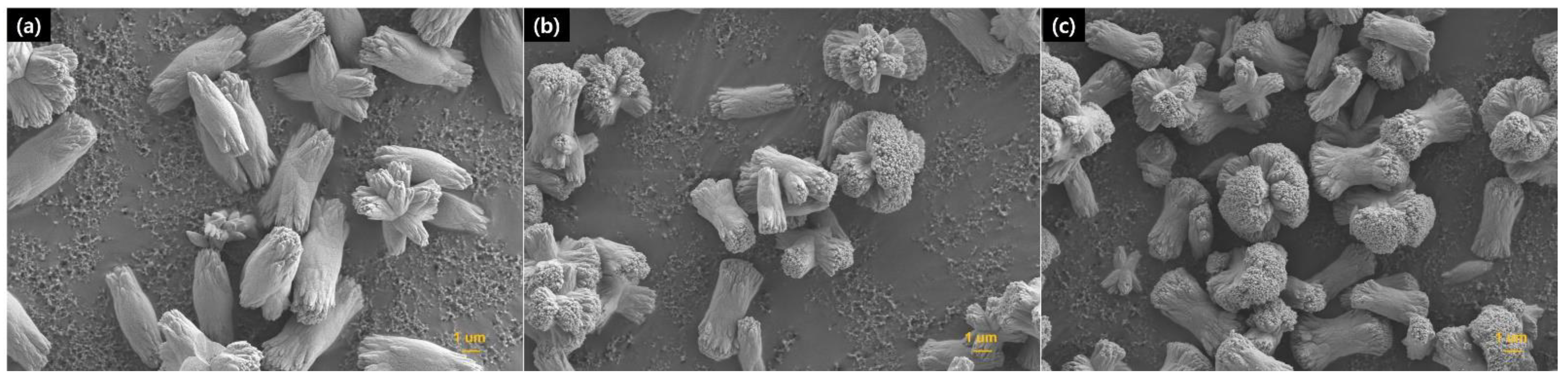 Crystals 12 00915 g003 Crystals 12 00915 g003