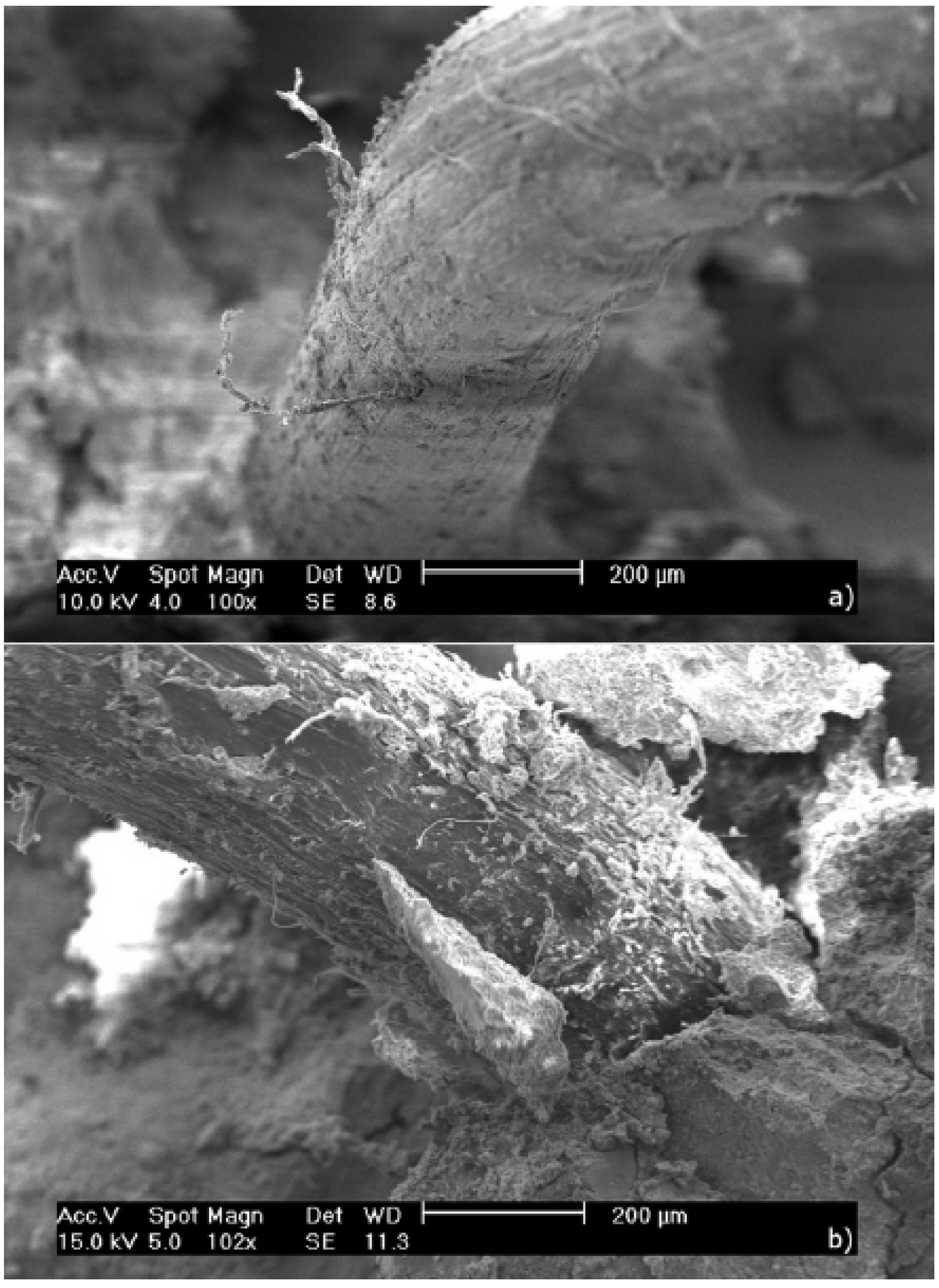 Crystals 12 00944 g013