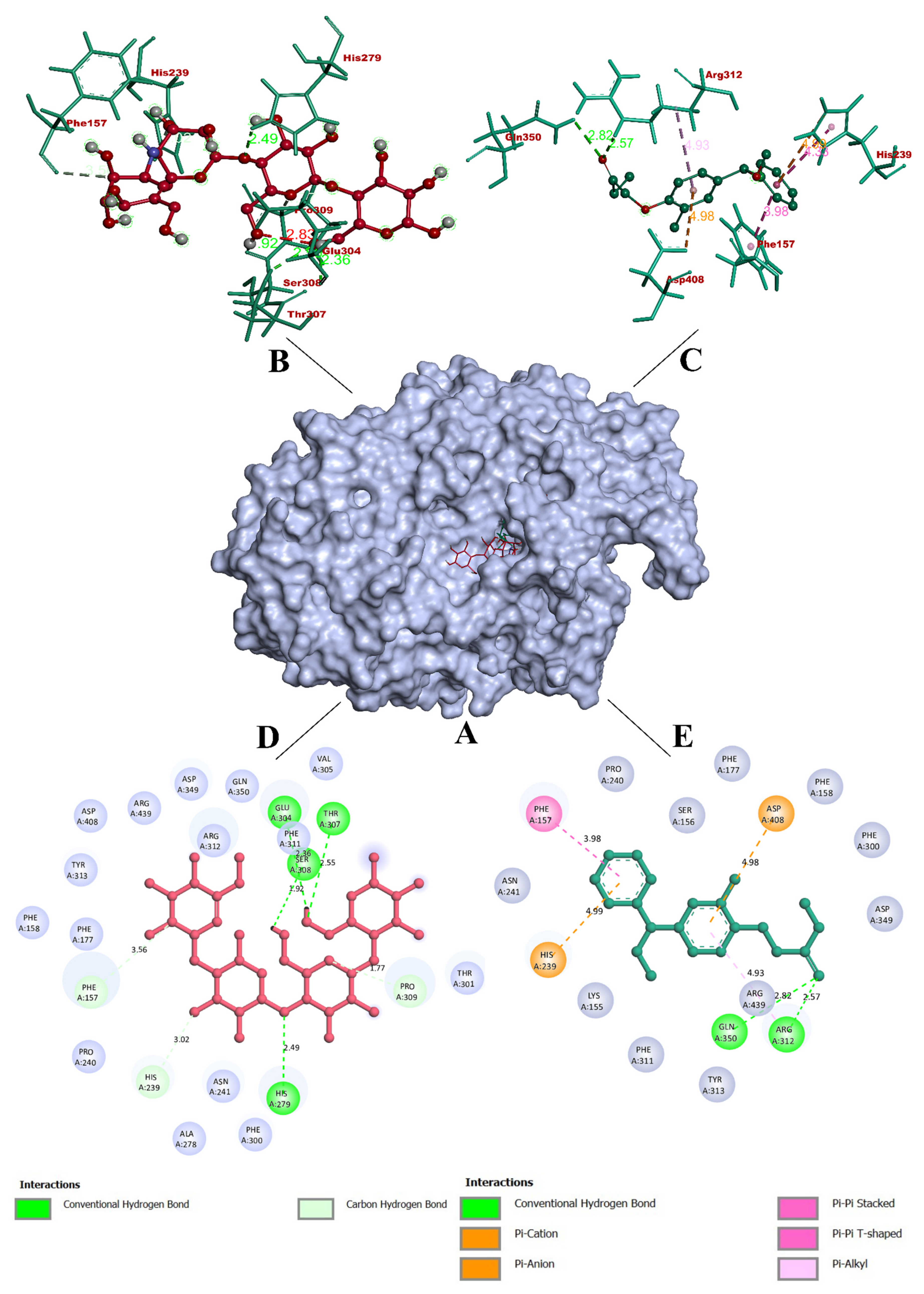 Crystals 12 00960 g005
