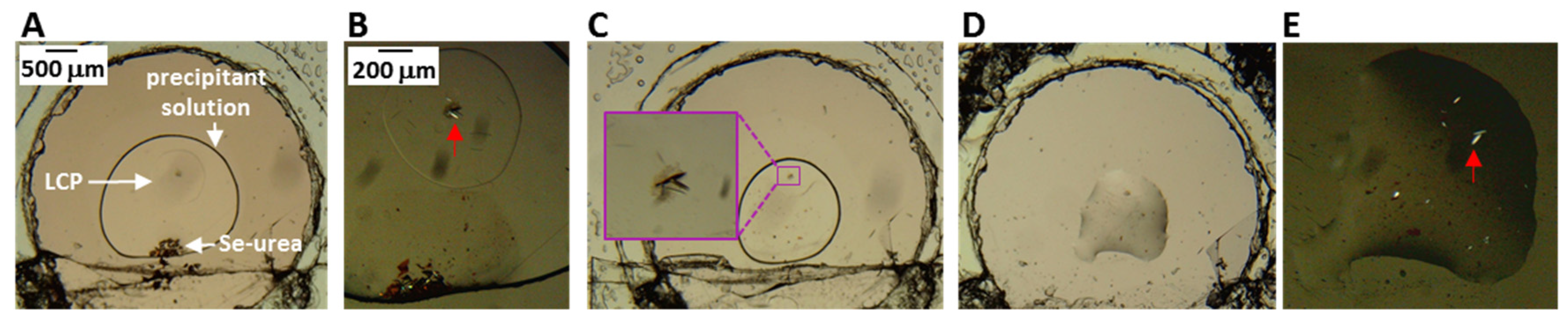 Crystals 12 00976 g002