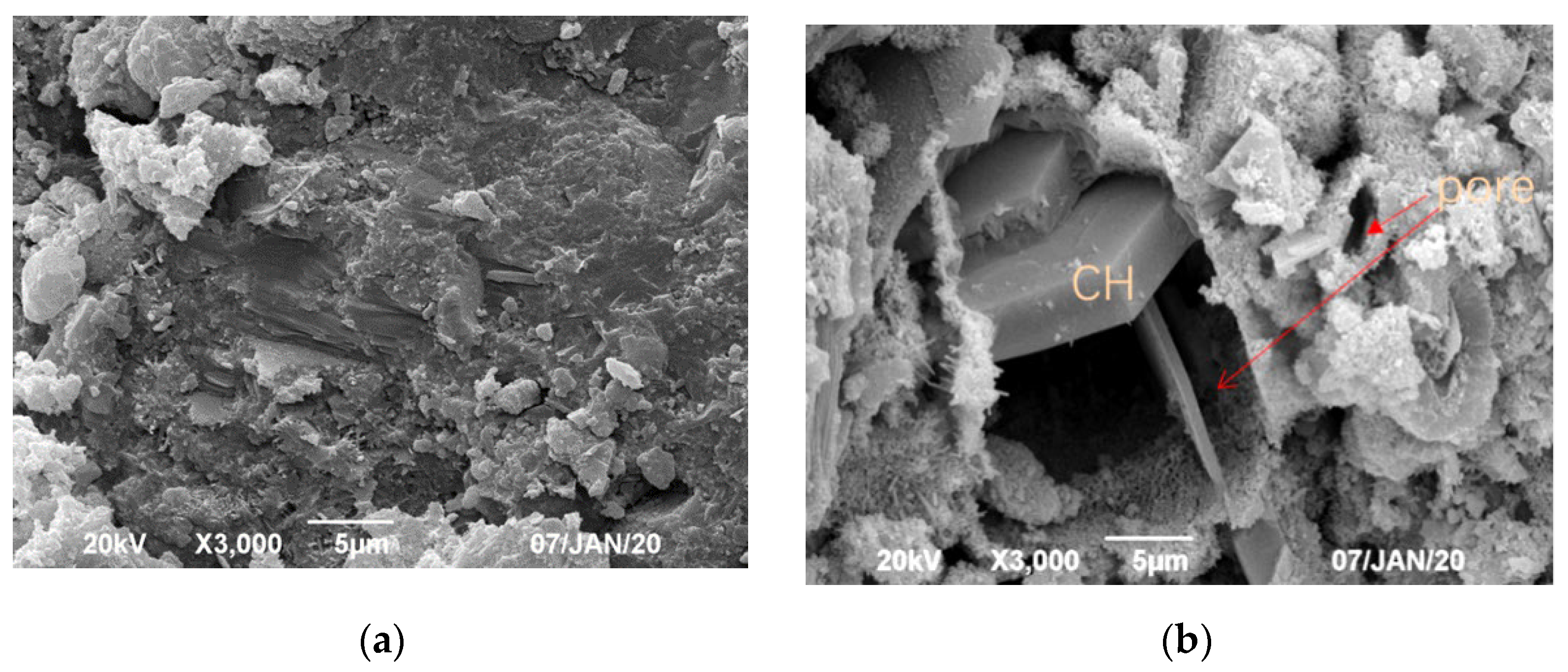 Crystals 12 00981 g006