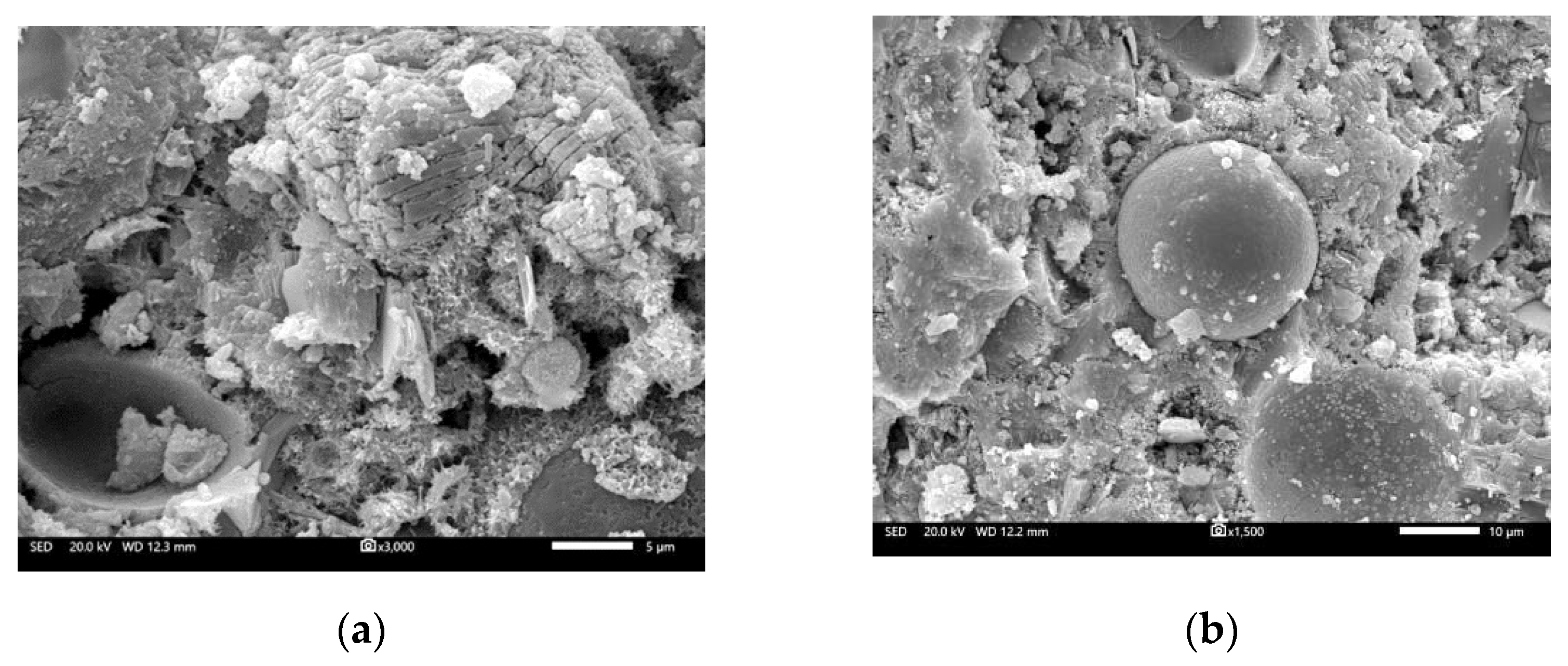 Crystals 12 00981 g011