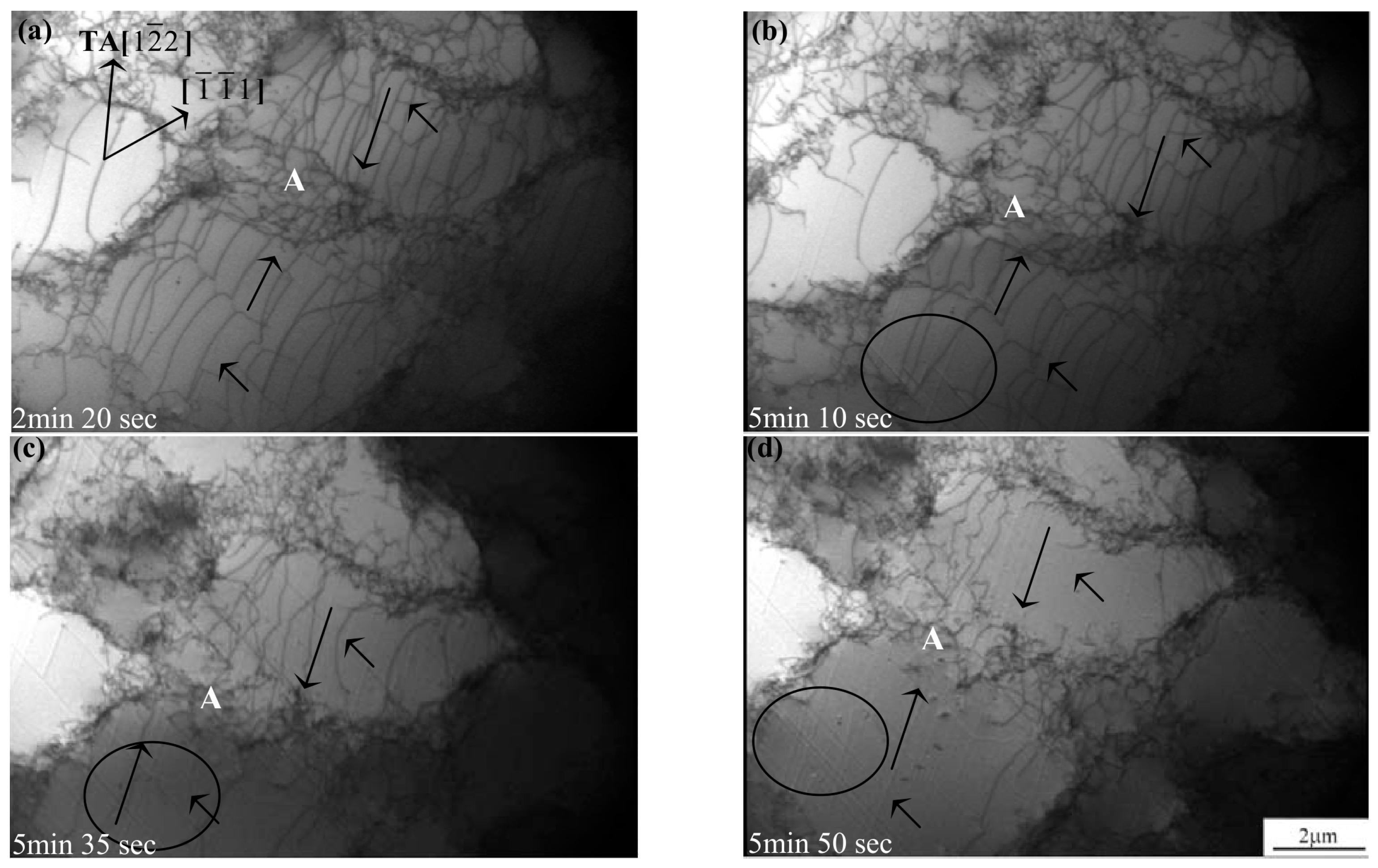 Crystals 12 00999 g006 Crystals 12 00999 g006