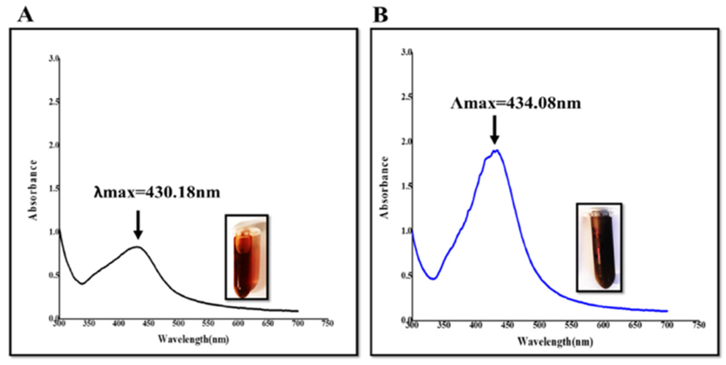 Crystals 12 01010 g001 550