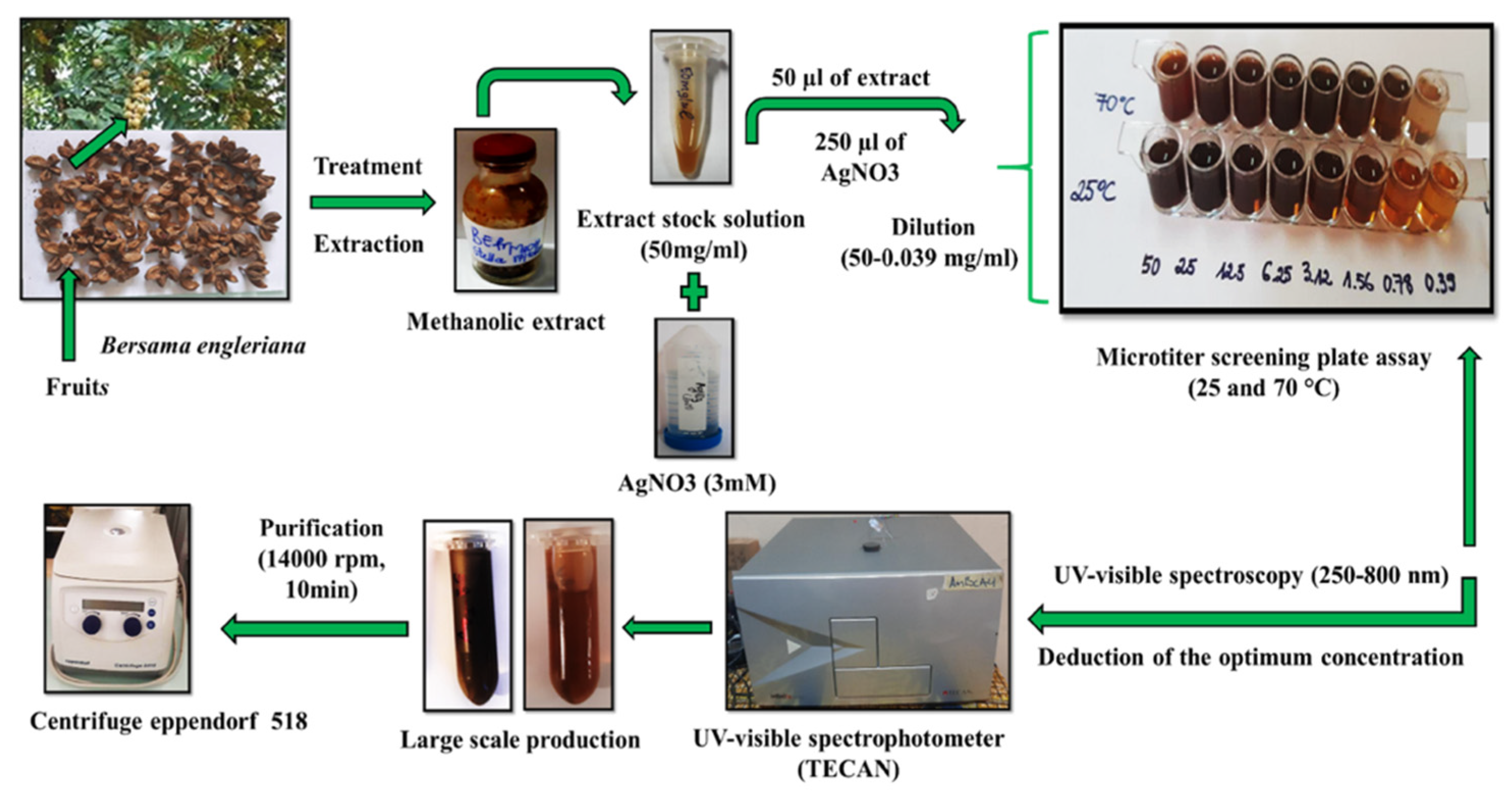 Crystals 12 01010 g011 550