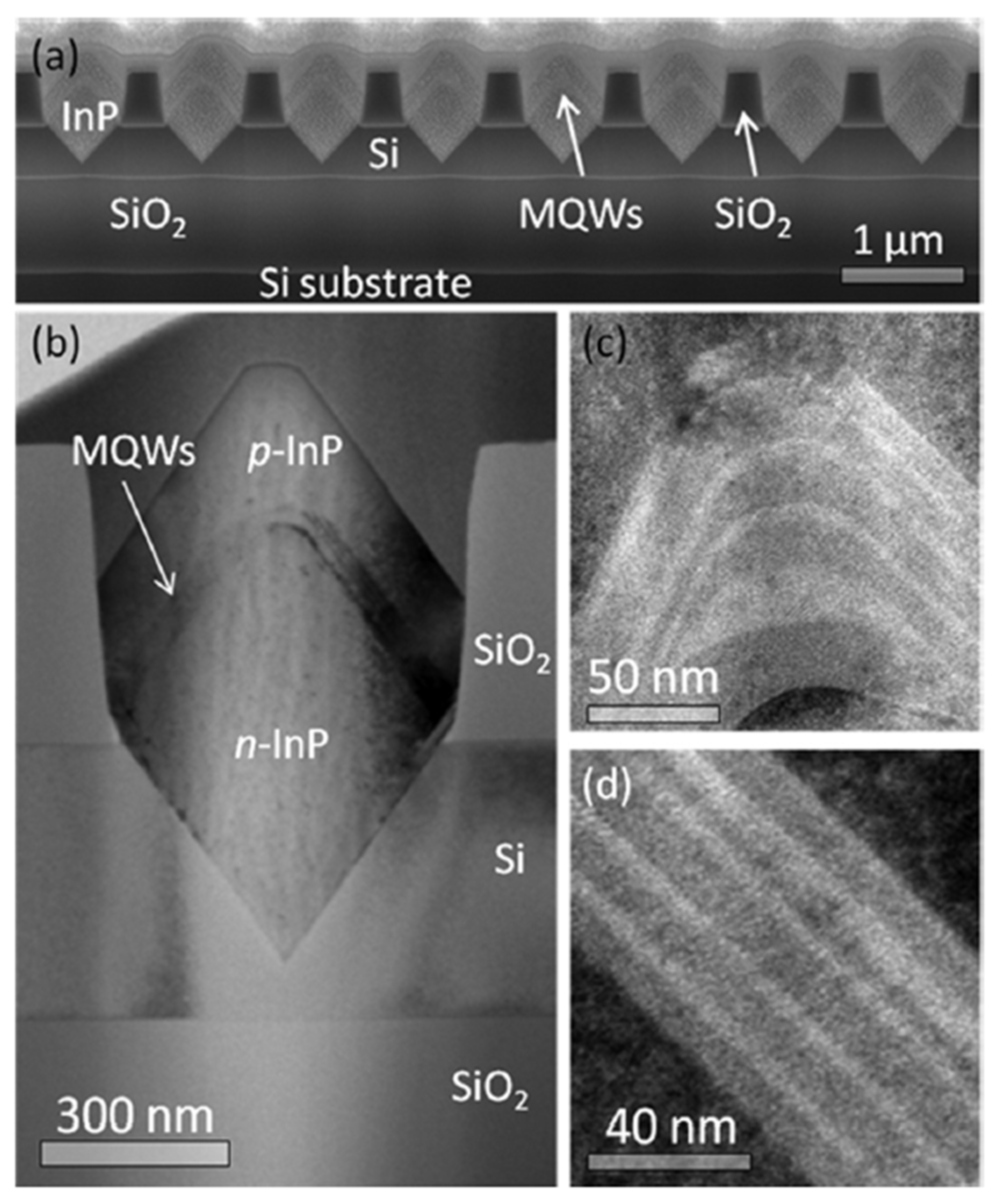 Crystals 12 01011 g014