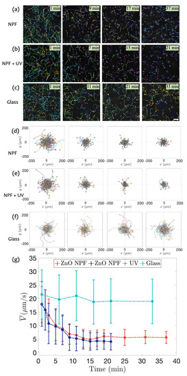 When Wavelengths Collide: Bias in Cell Abundance Measurements Due