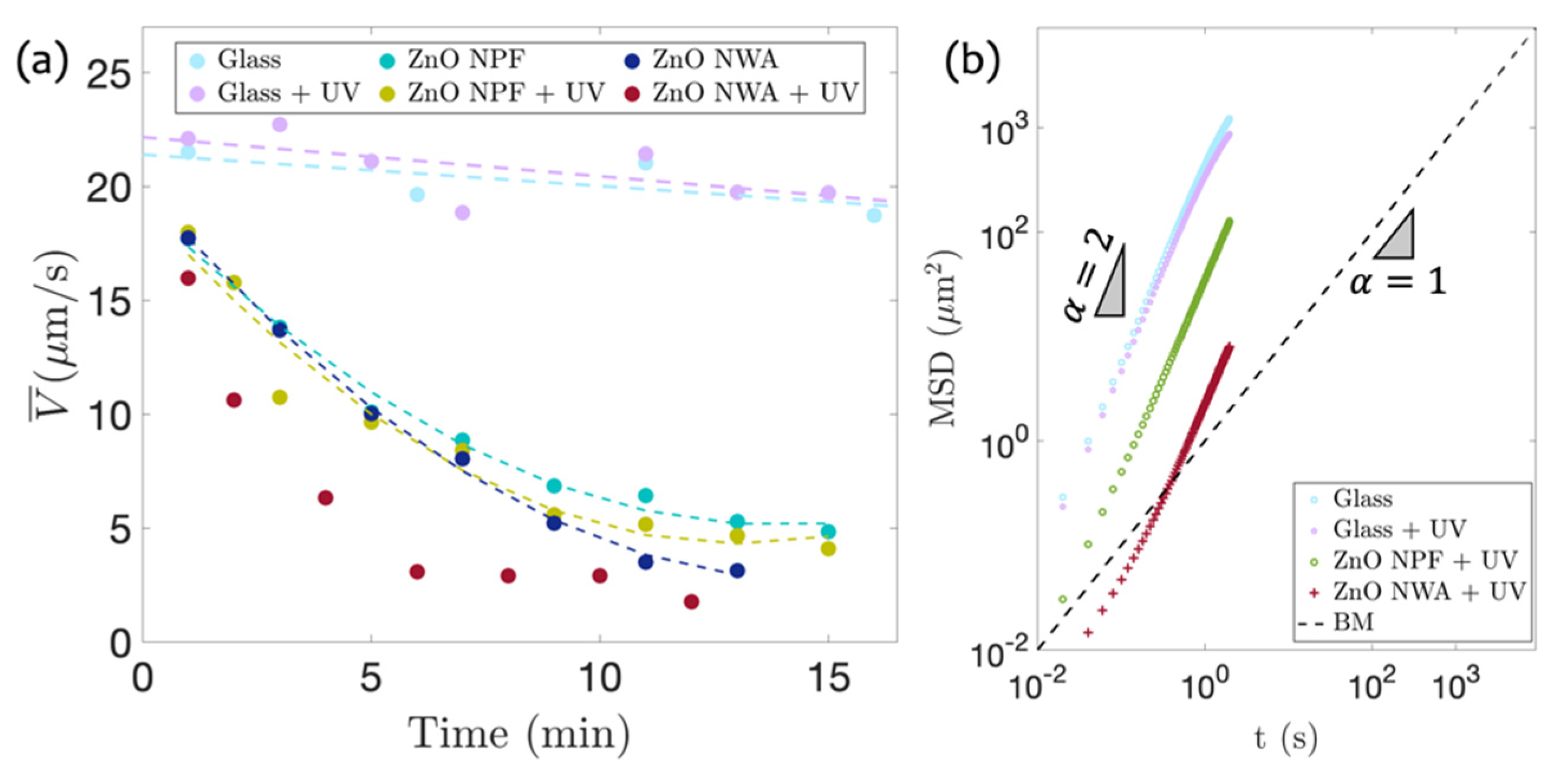Crystals 12 01027 g005
