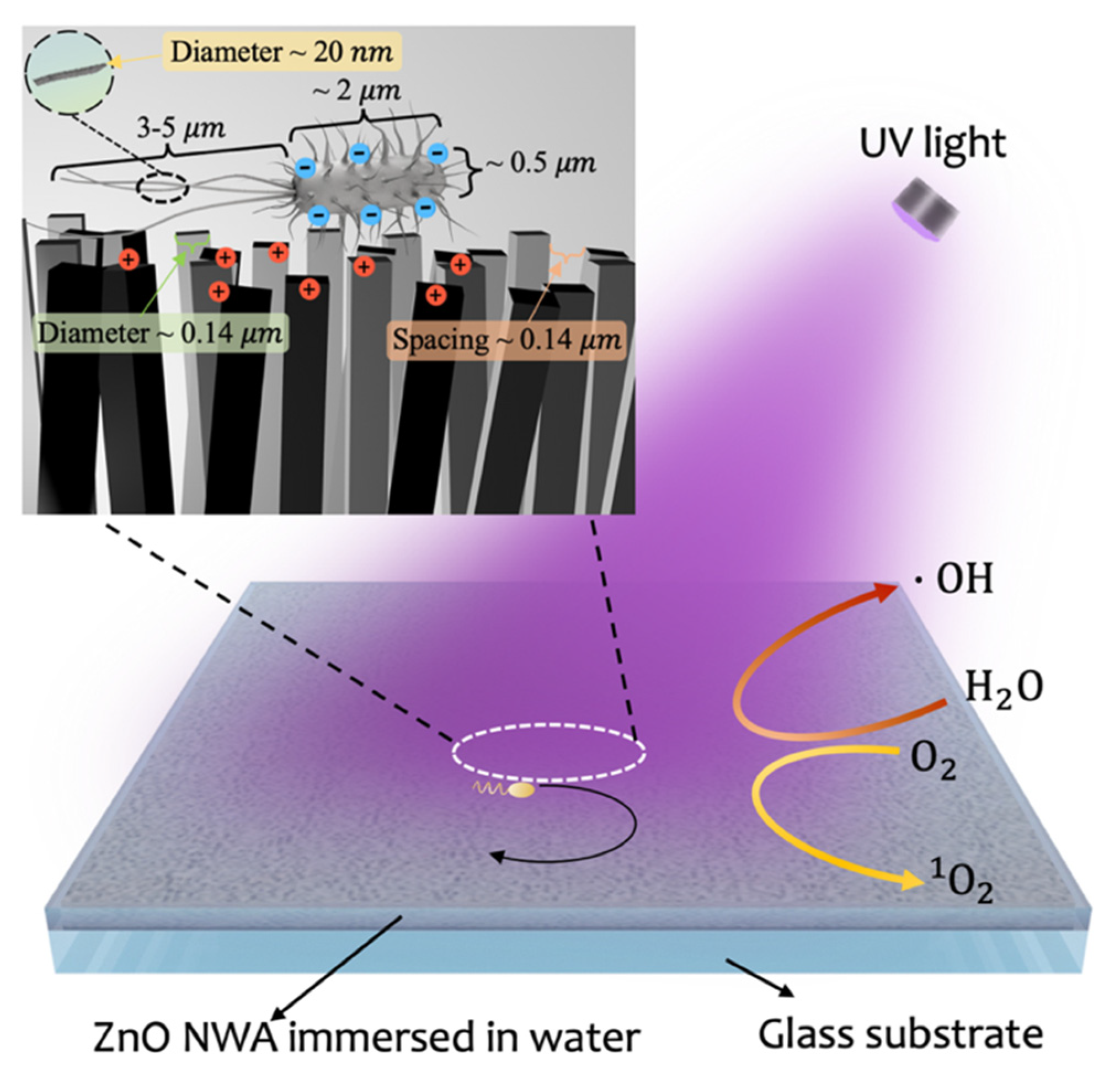 Crystals 12 01027 g006