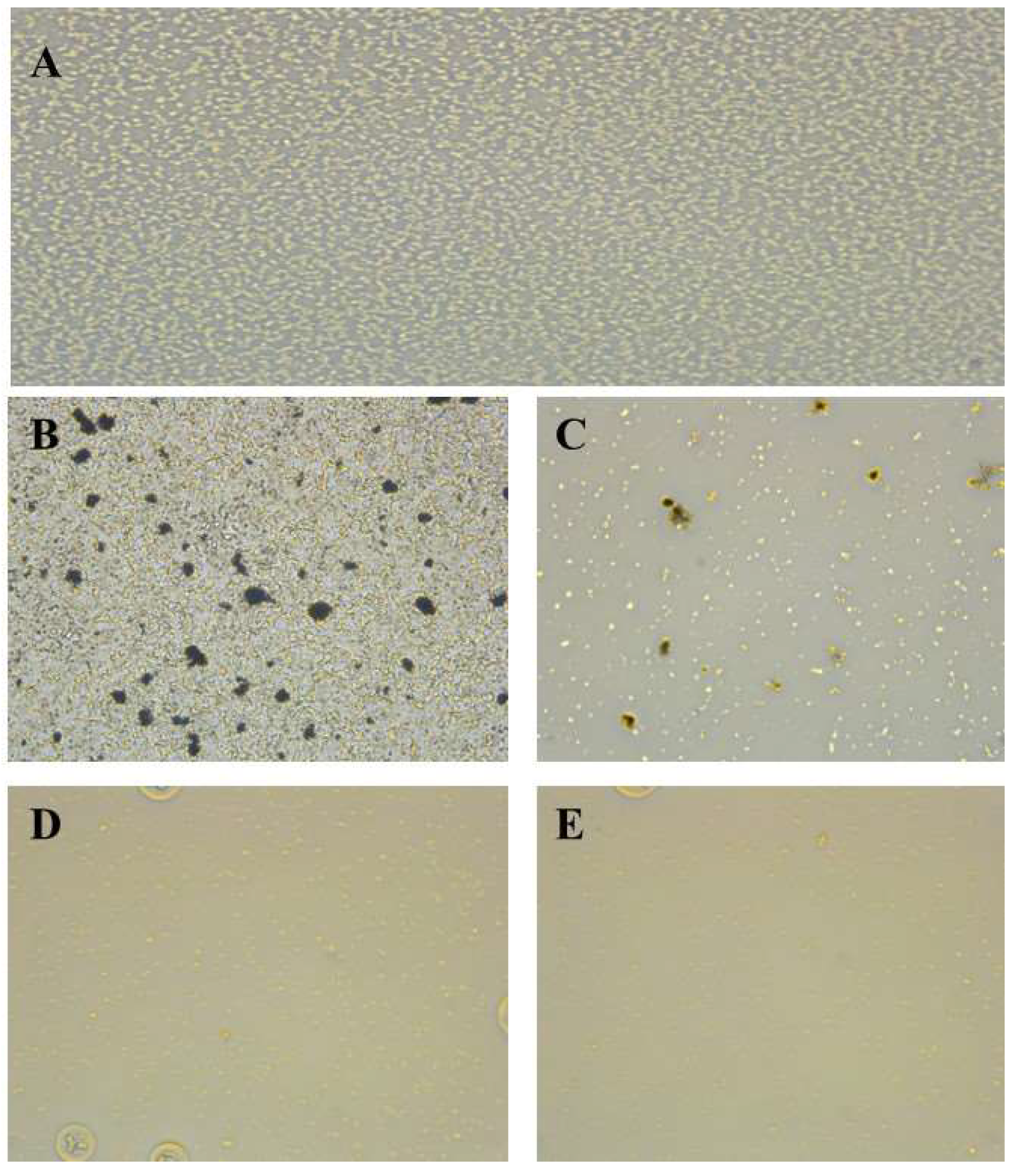 Crystals 12 01035 g008 Crystals 12 01035 g008