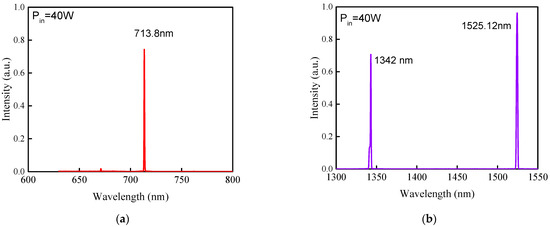 グラウンズ Combustion behaviors of Lycium barbarum L.: Kinetics