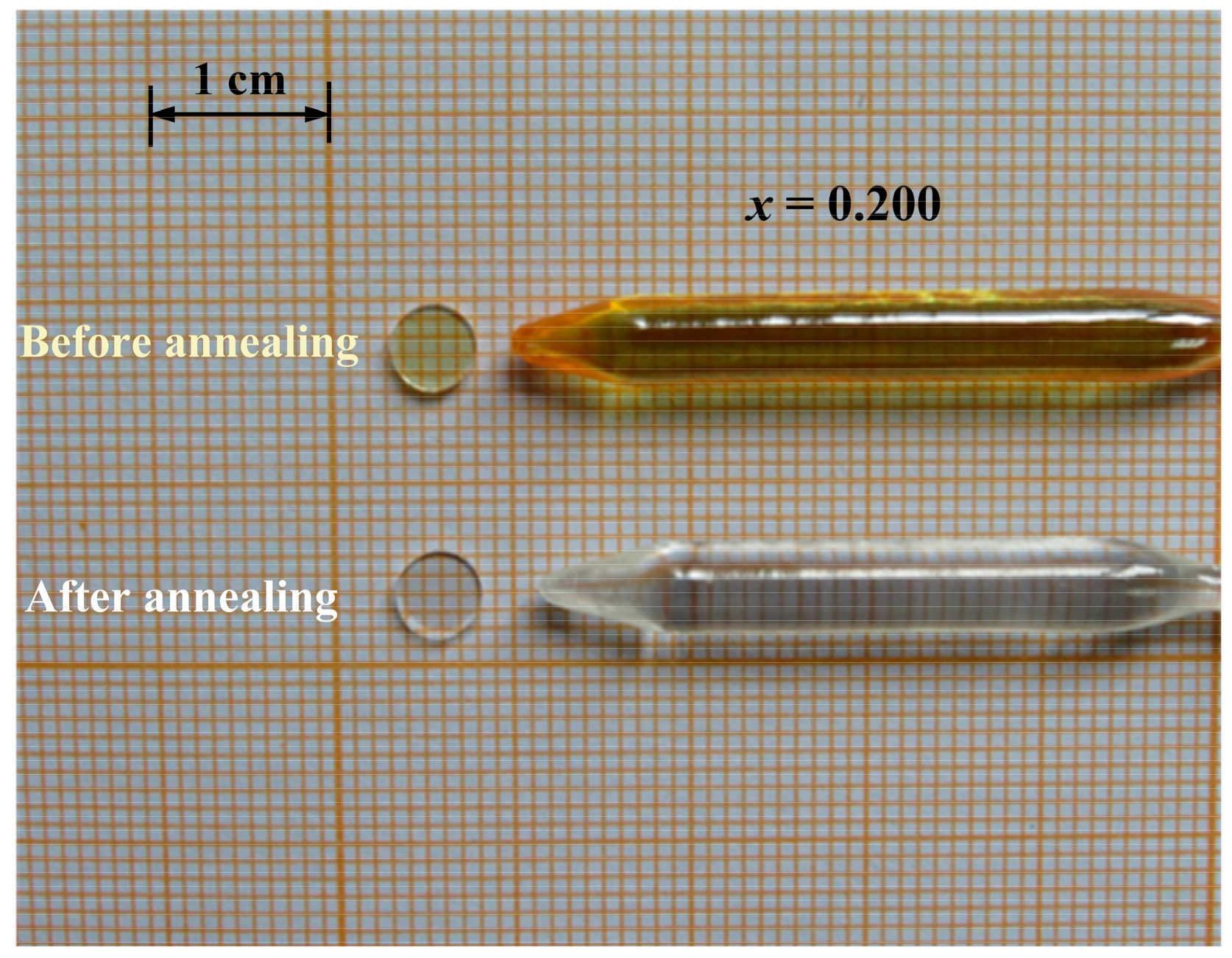 オーダー専用ページ 43556_2025_277_Fig1_HTML.png