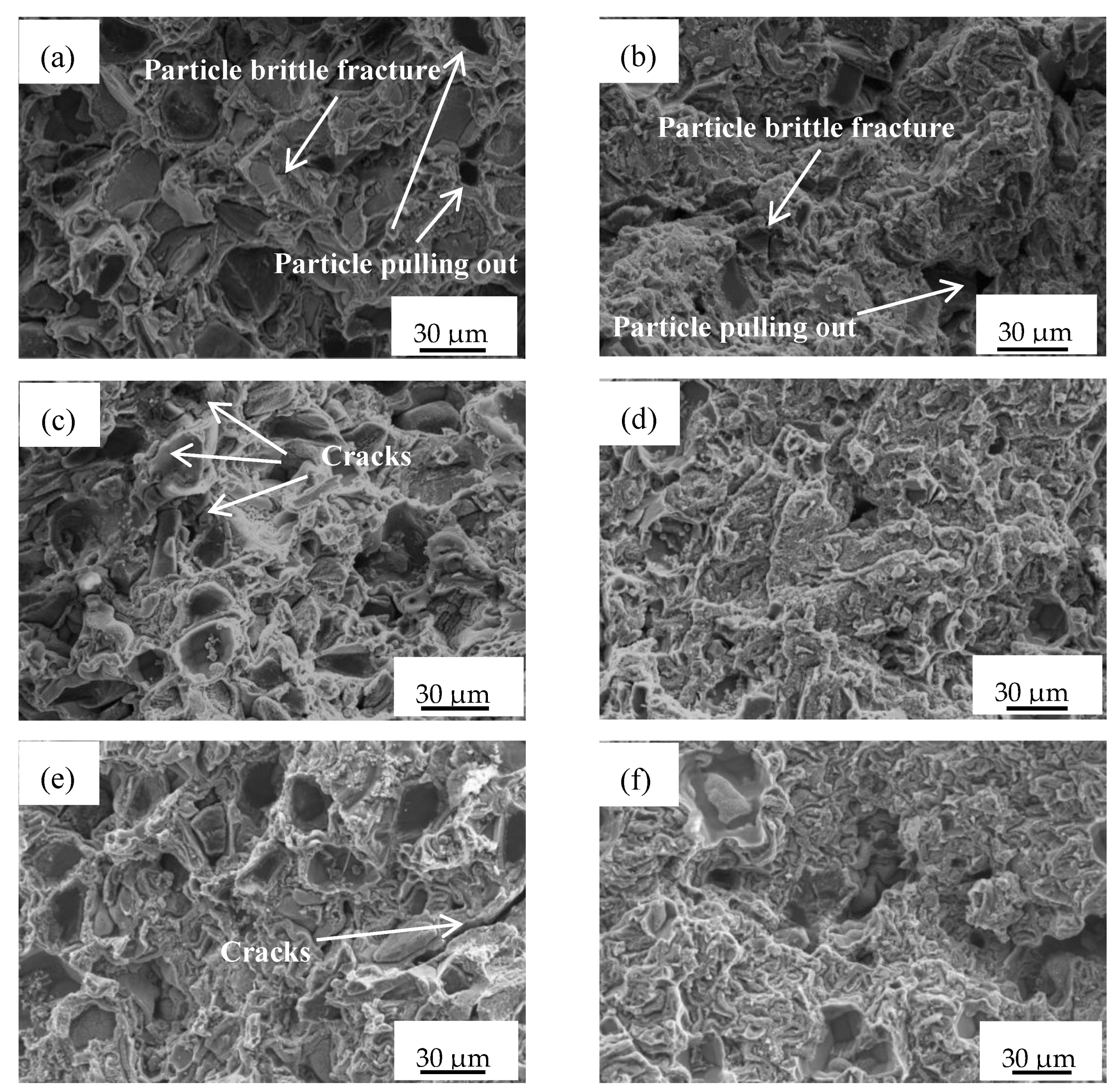 Crystals 12 01105 g007 550