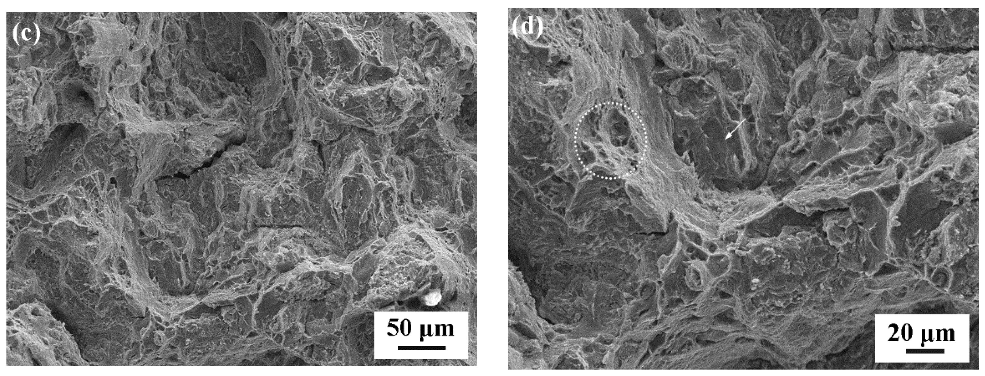 Crystals 12 01119 g007b 550