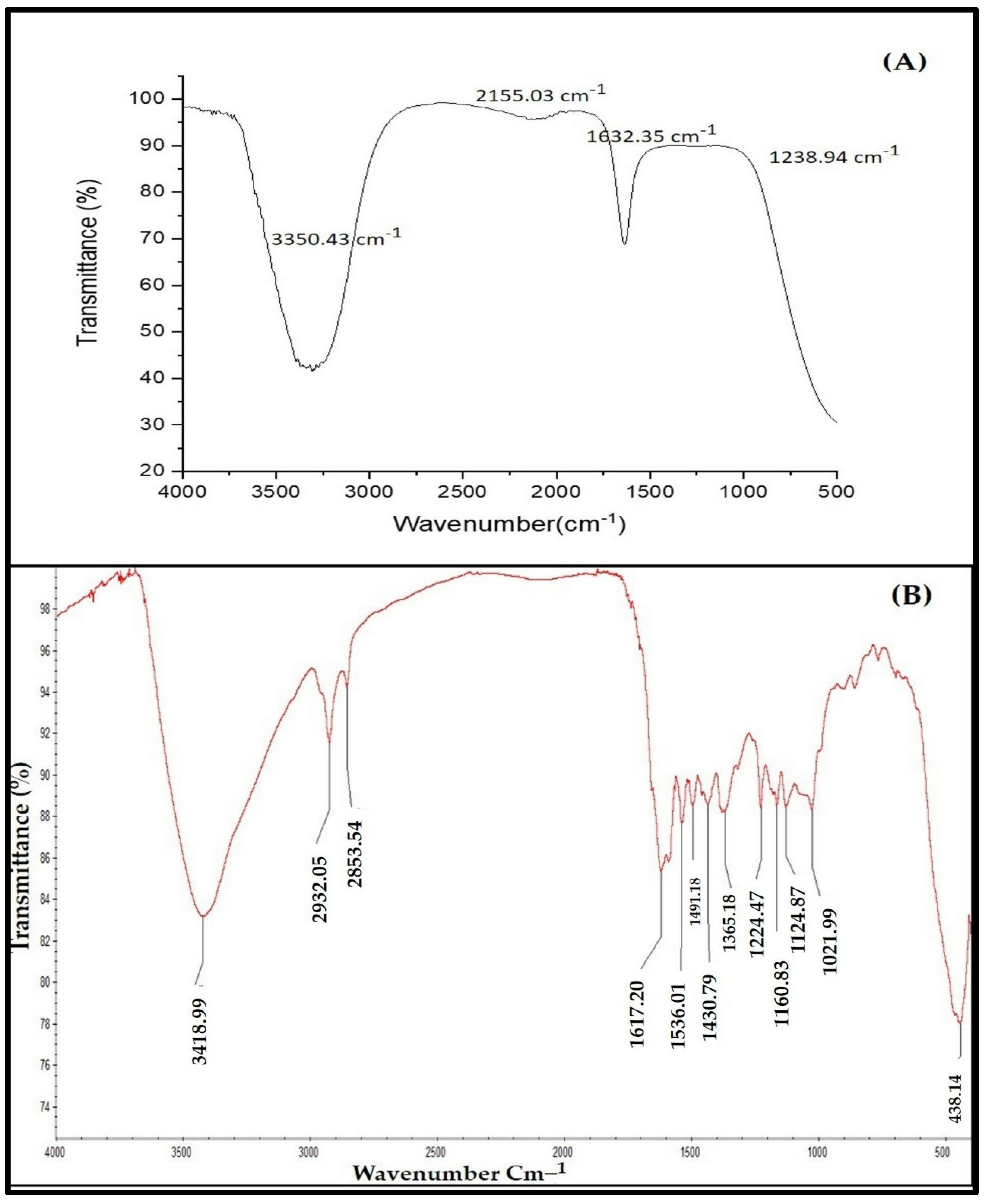 Crystals 12 01142 g005 550