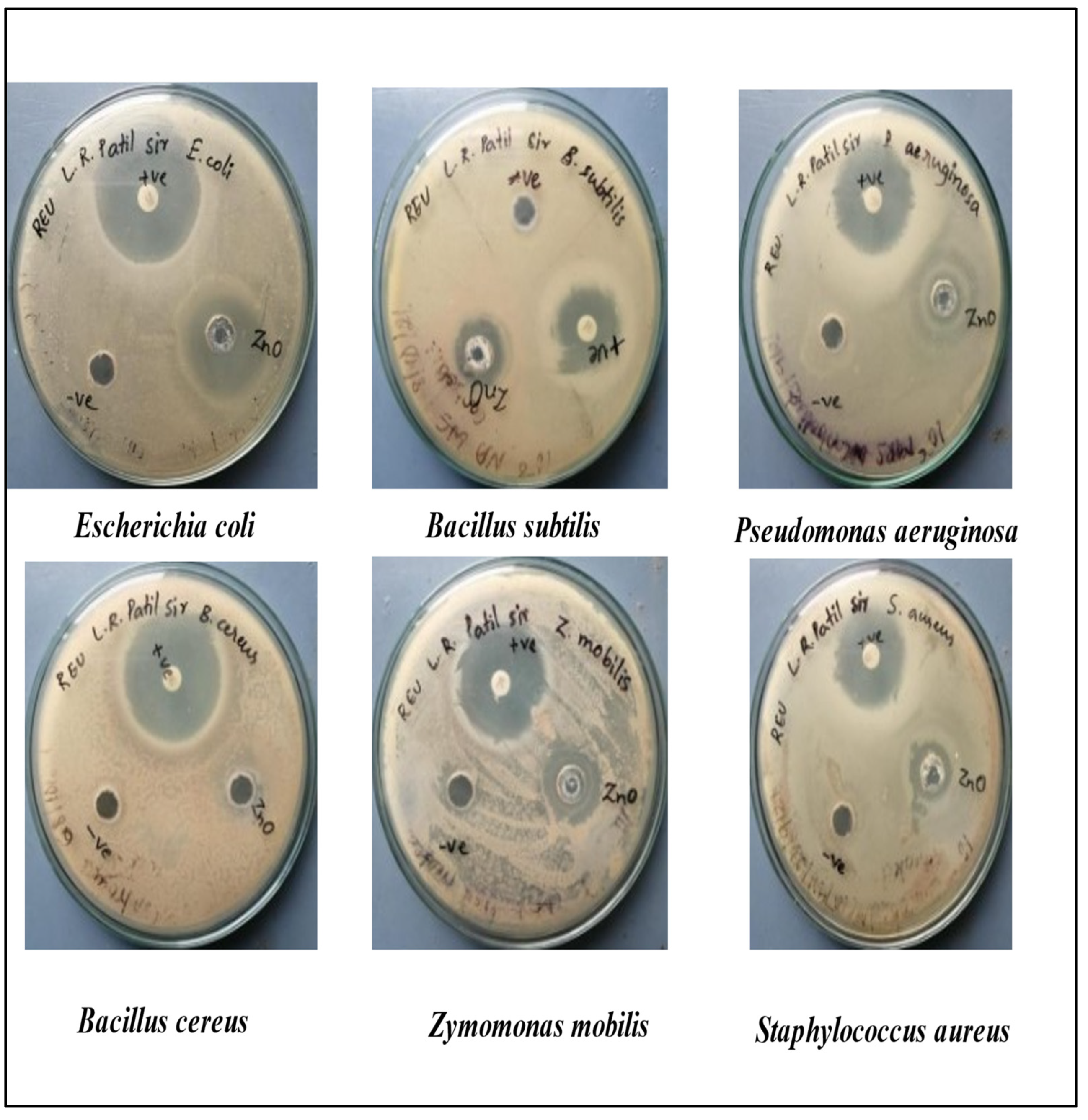 Crystals 12 01142 g009 550