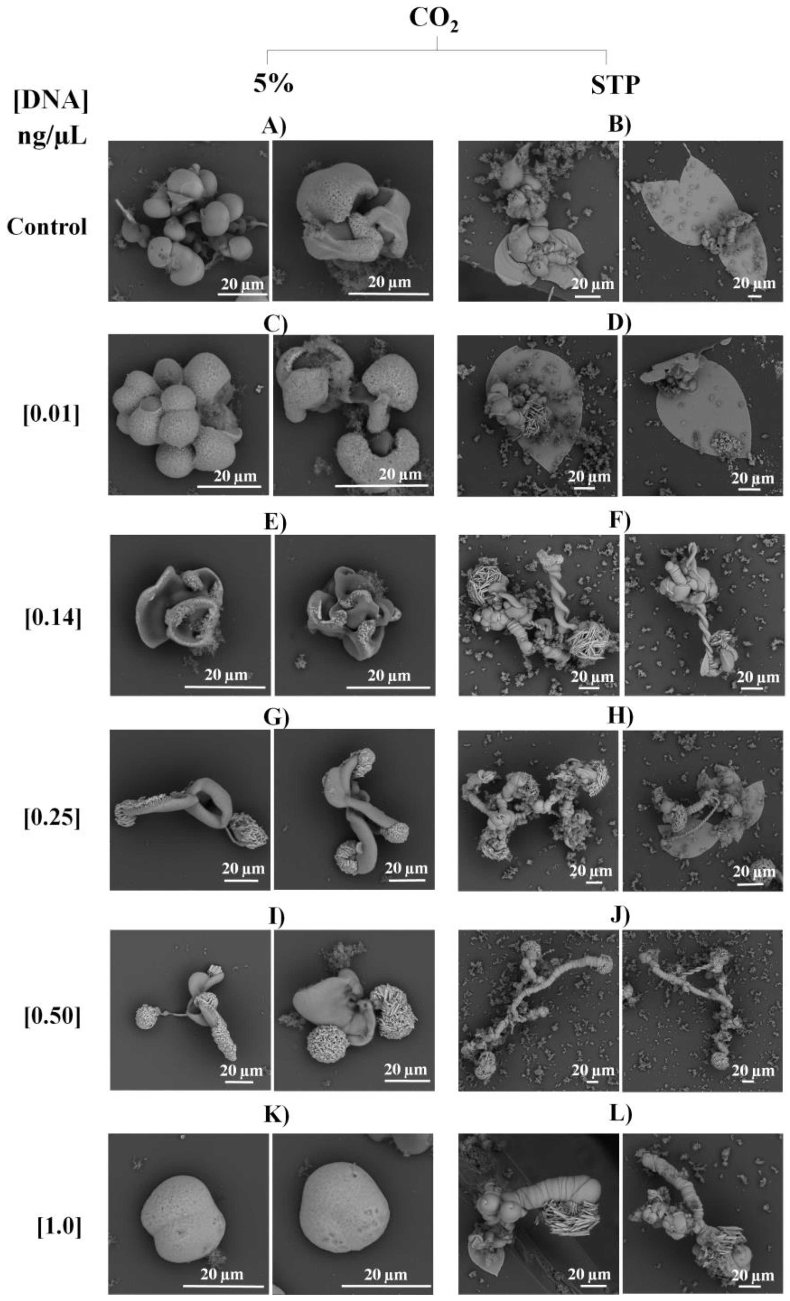 Crystals 12 01147 g001 Crystals 12 01147 g001