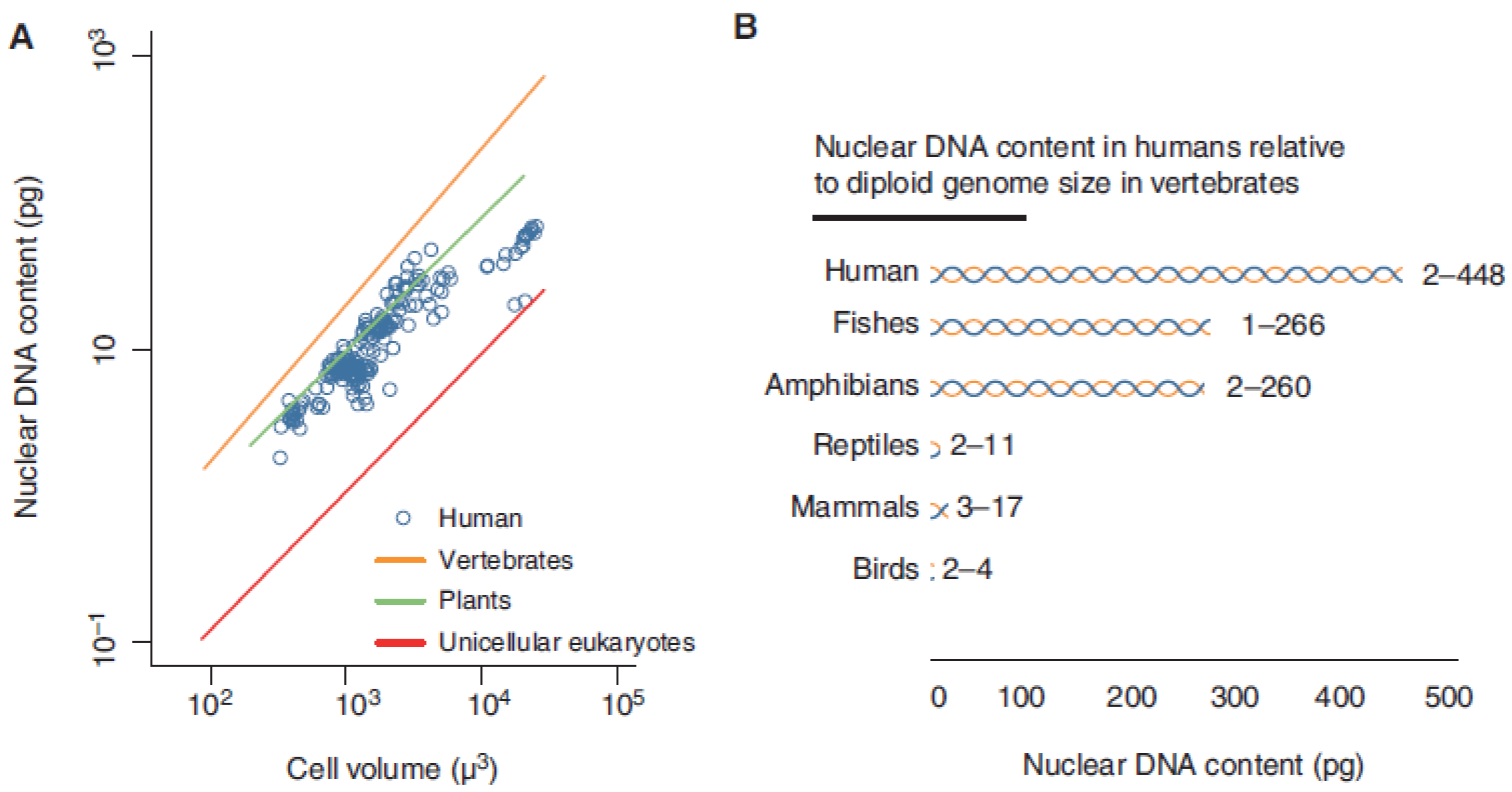 Crystals 12 01147 g004 Crystals 12 01147 g004
