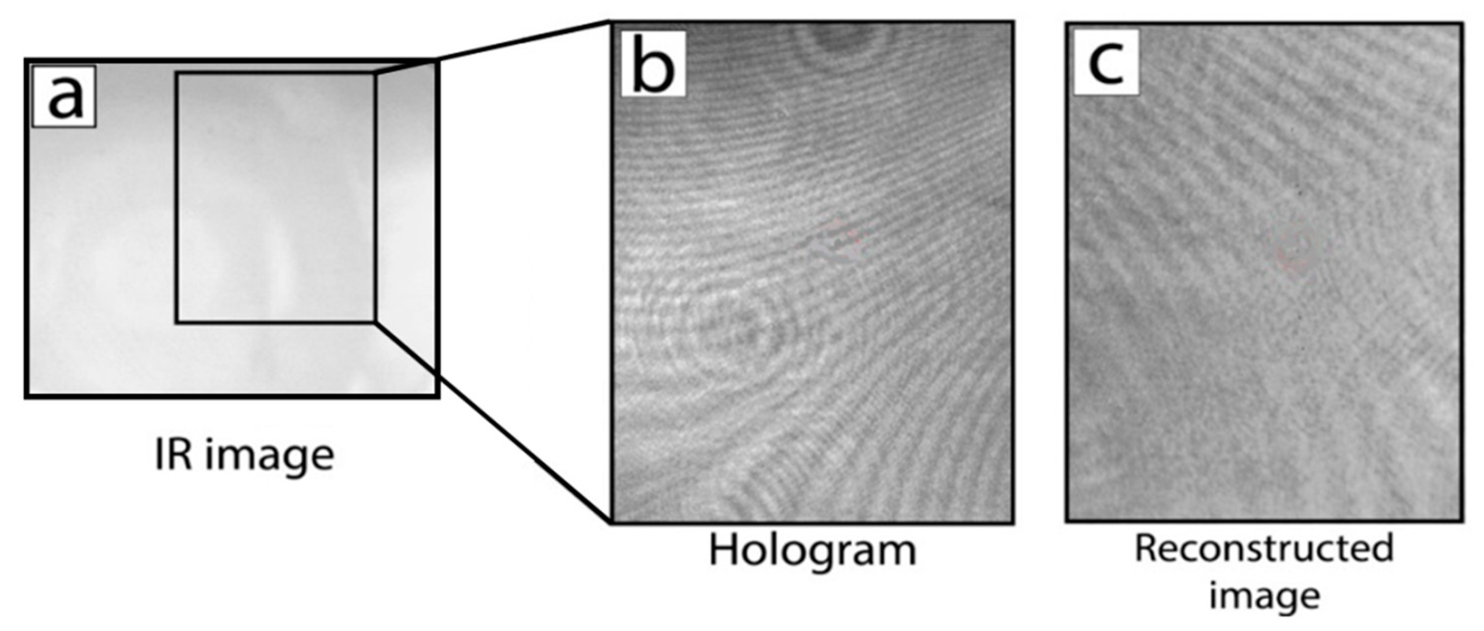 Crystals 12 01169 g001 550
