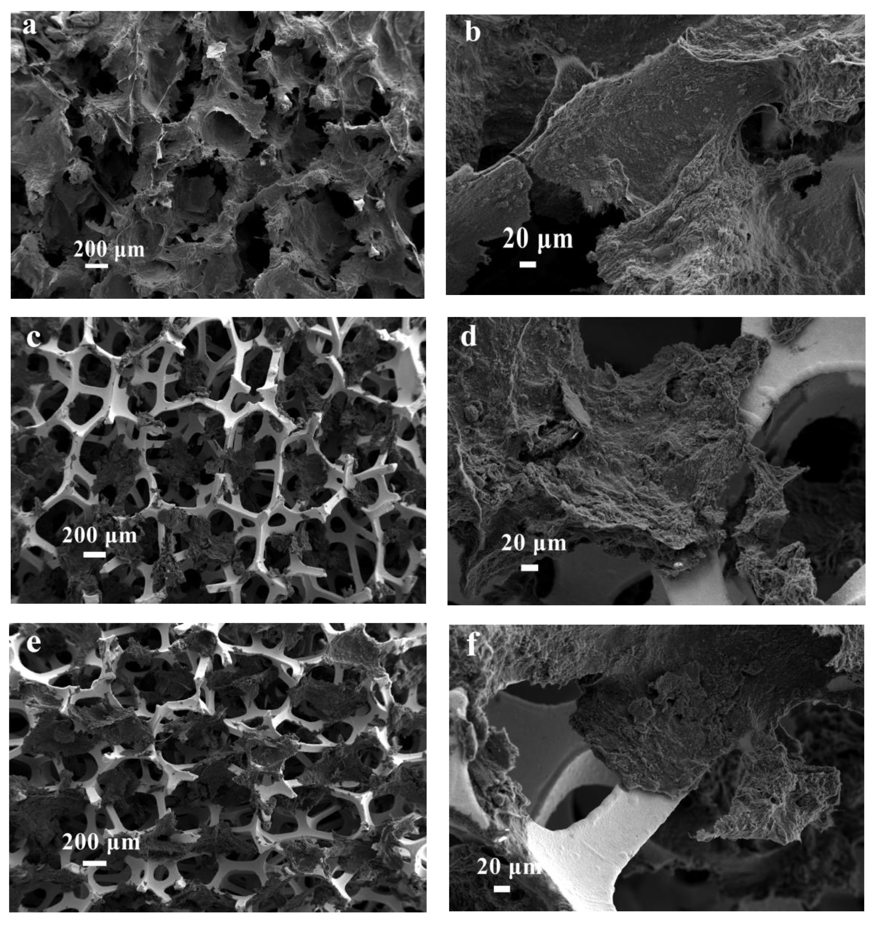 Crystals 12 01177 g004