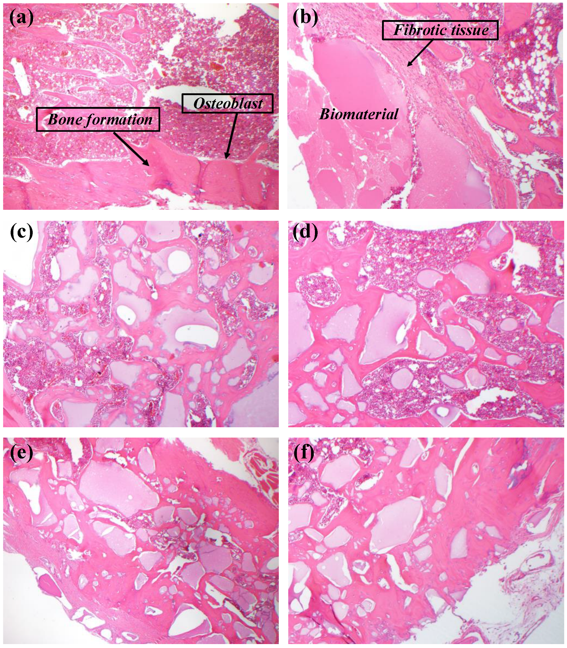 Crystals 12 01192 g007 550