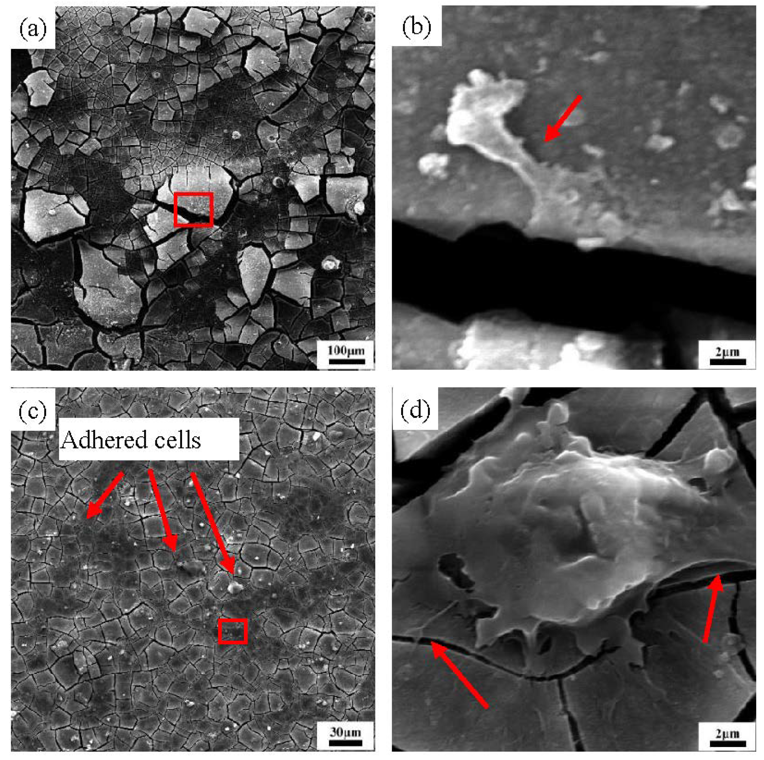 Crystals 12 01219 g010 550