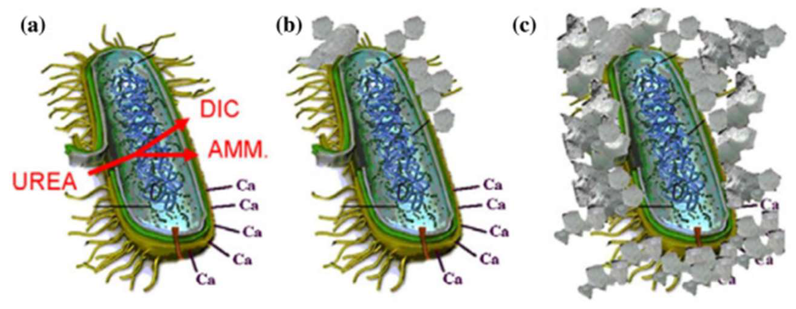 Crystals 12 01222 g002