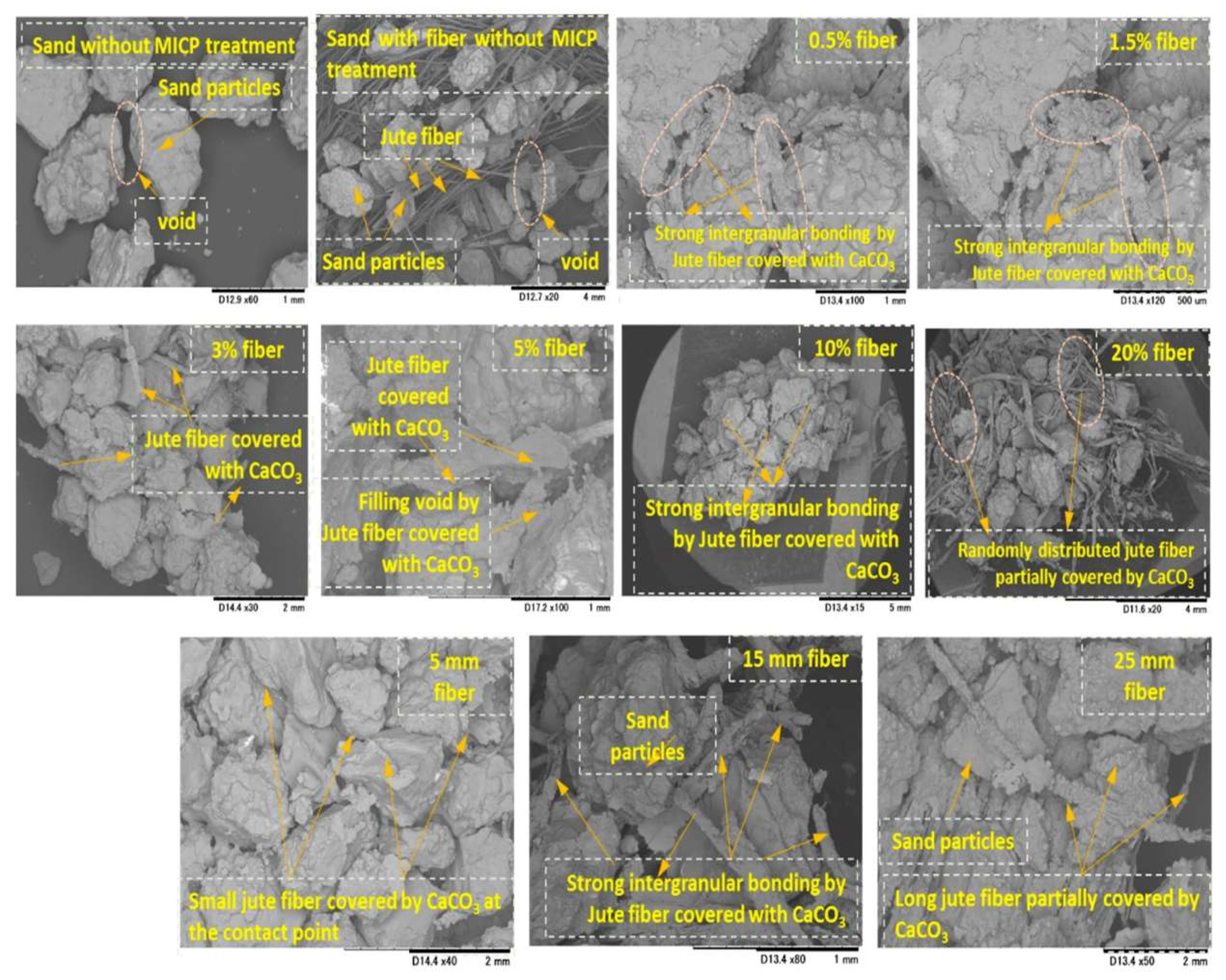 Crystals 12 01222 g005