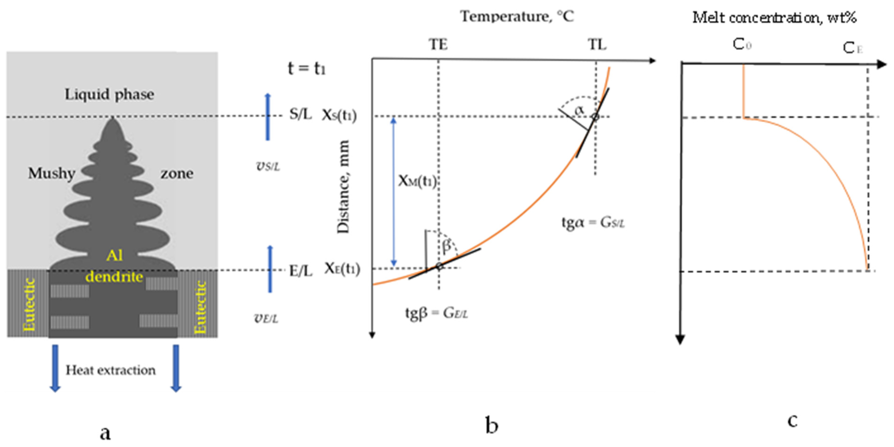 Crystals Free Full Text Microstructure Analysis Of Al 7 Wt Si Alloy Solidified On Earth 
