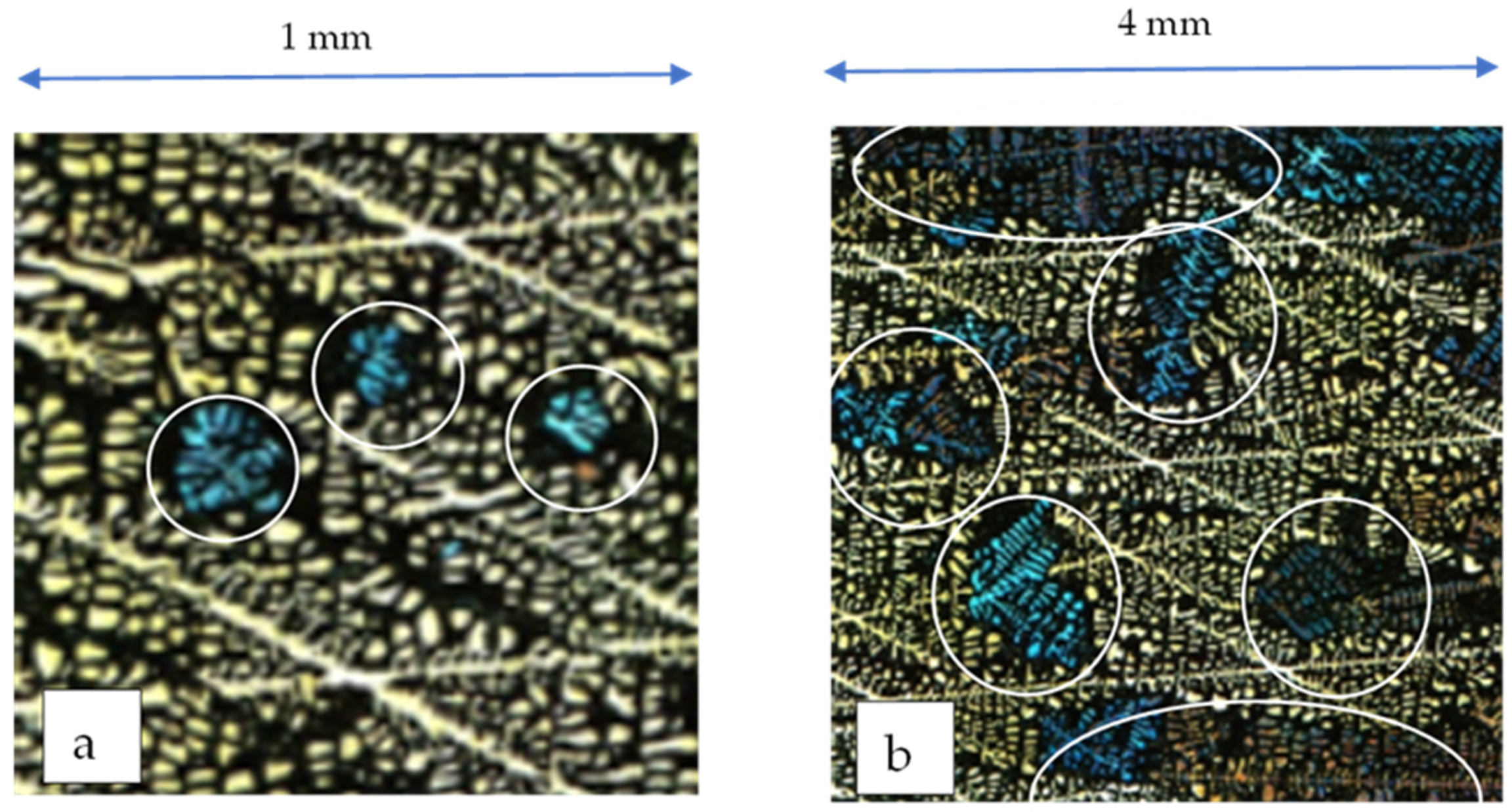 Crystals 12 01226 g010