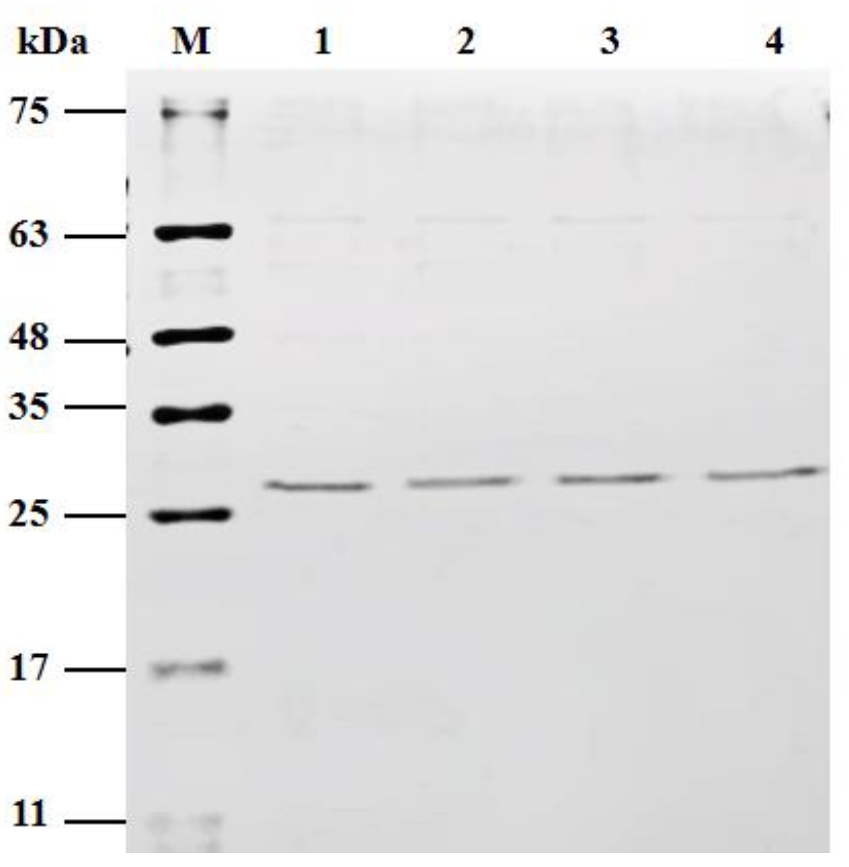 Crystals 12 01228 g002 550