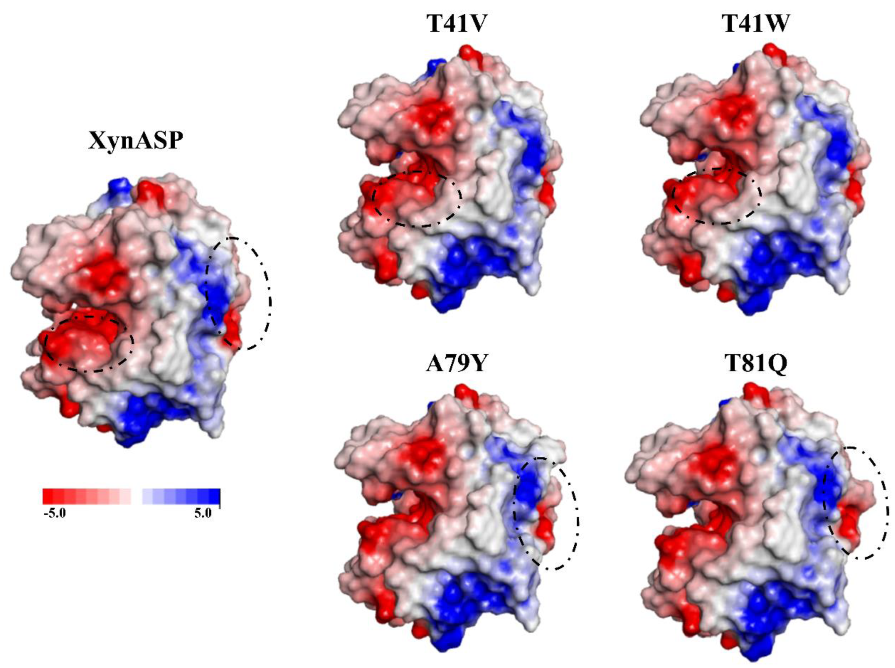 Crystals 12 01228 g005 550