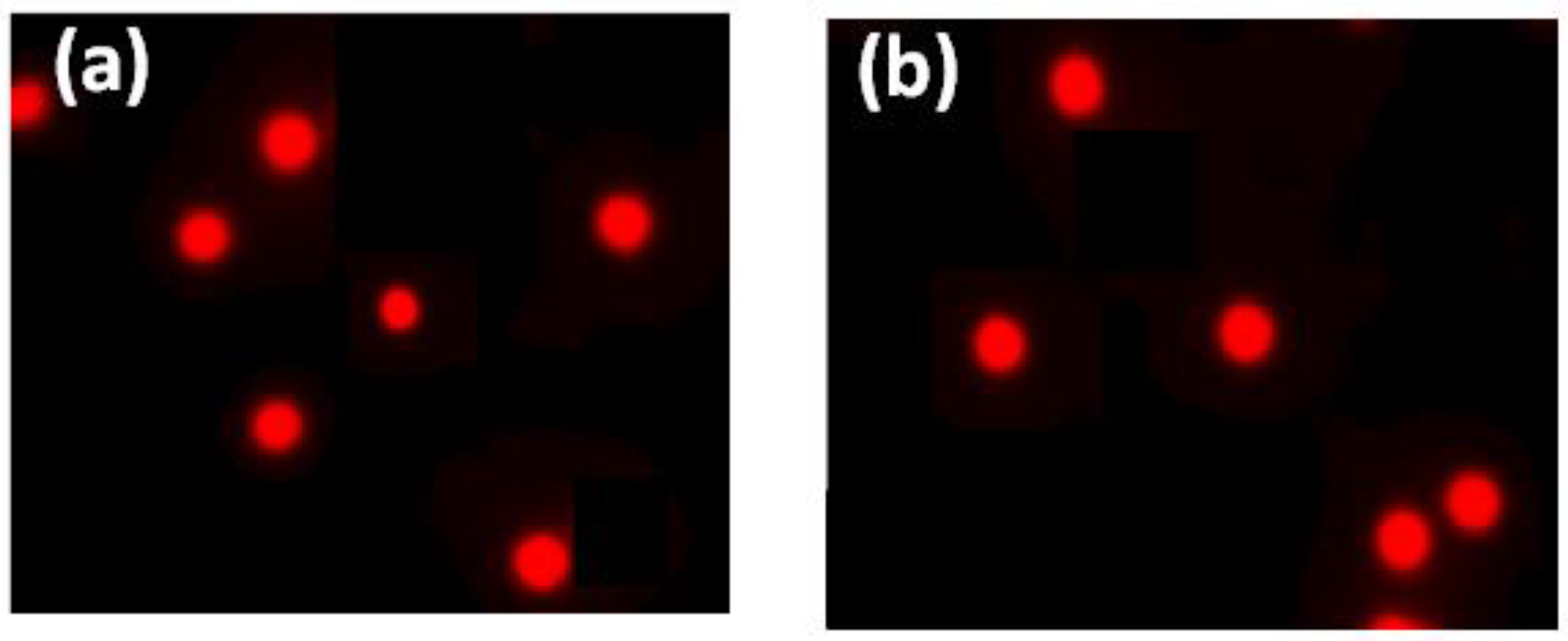 Crystals 12 01238 g007