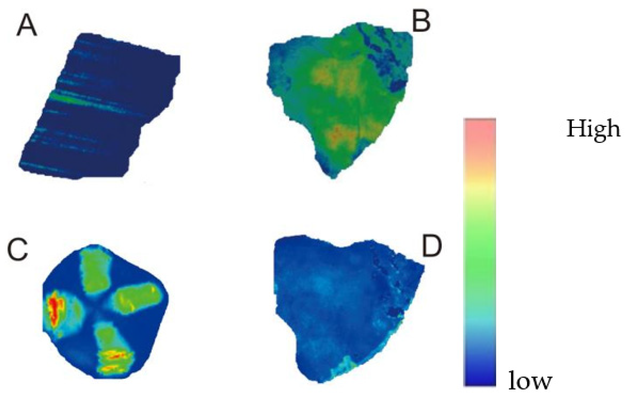 Crystals 12 01266 g006