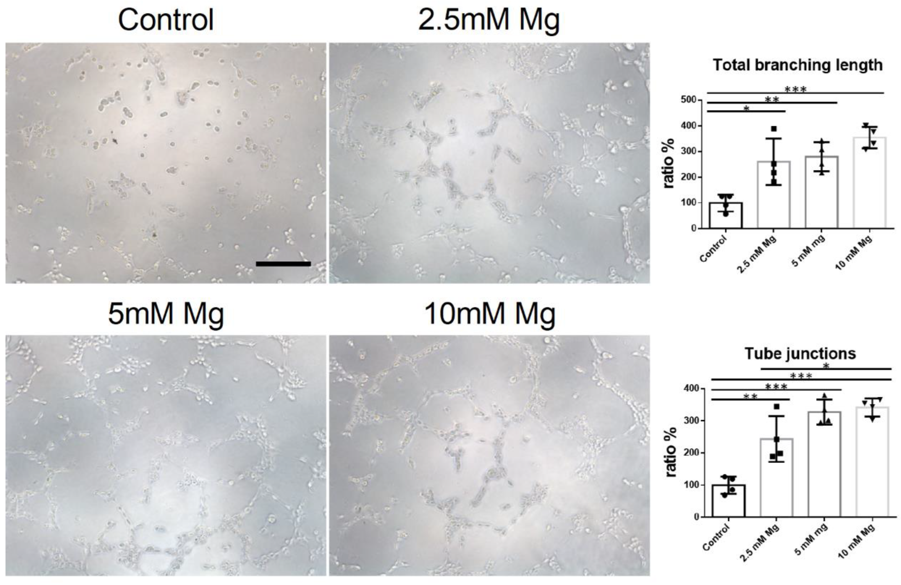 Crystals 12 01287 g005 550