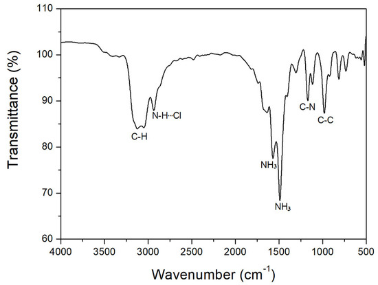 Structural Characterization and Dynamics of a Layered 2D