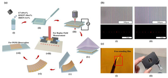 Laser Written Stretchable Diffractive Optic Elements in Liquid Crystal Gels